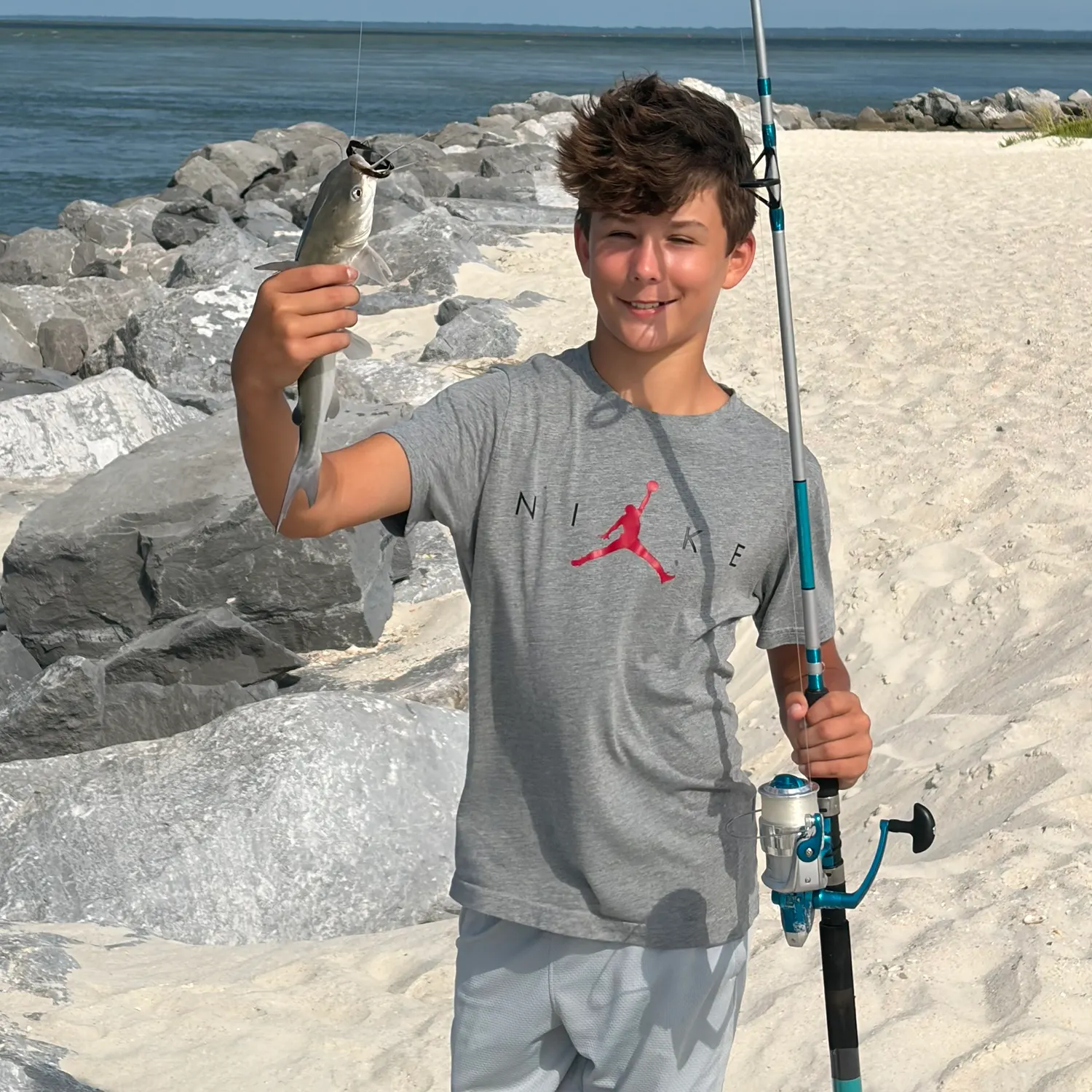 Hardhead sea catfish caught on Fishbrain