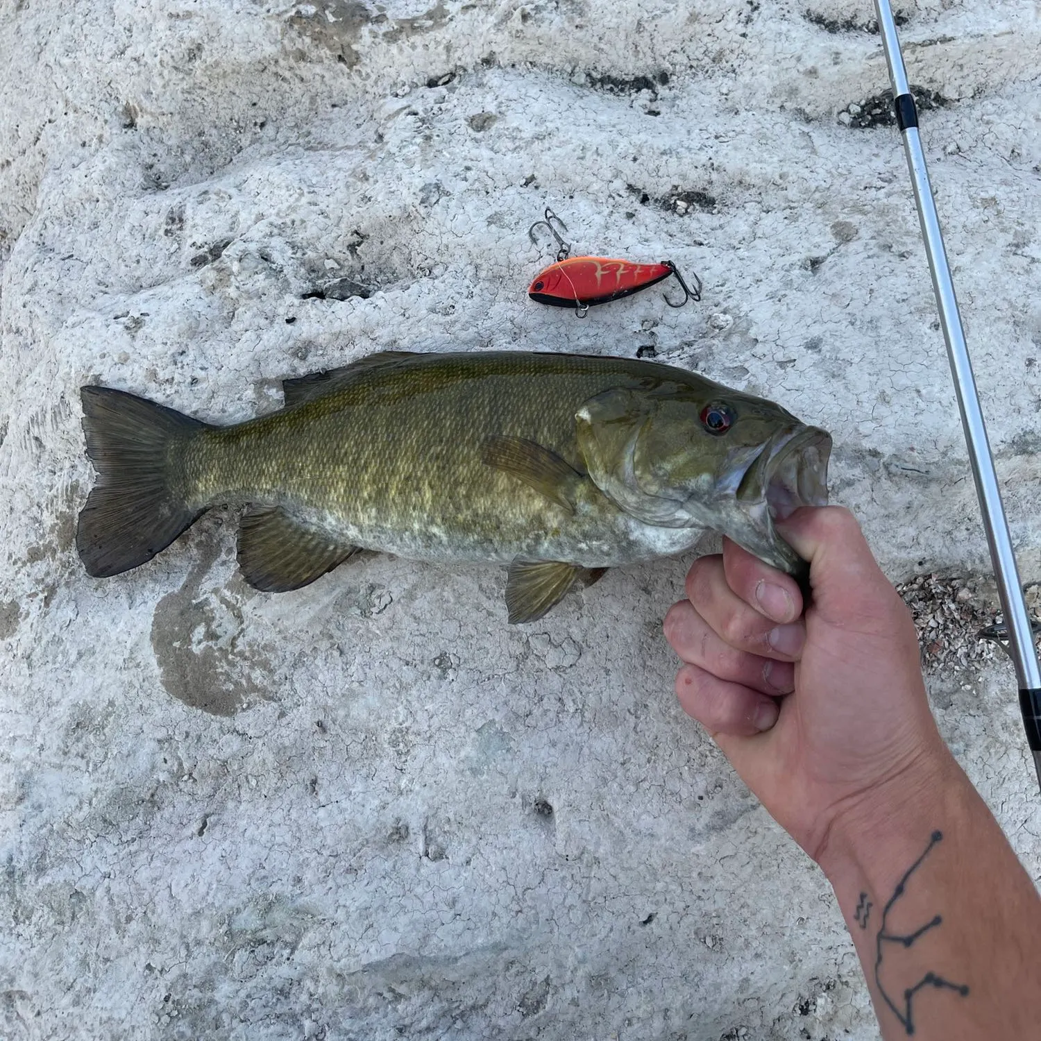 angler catch