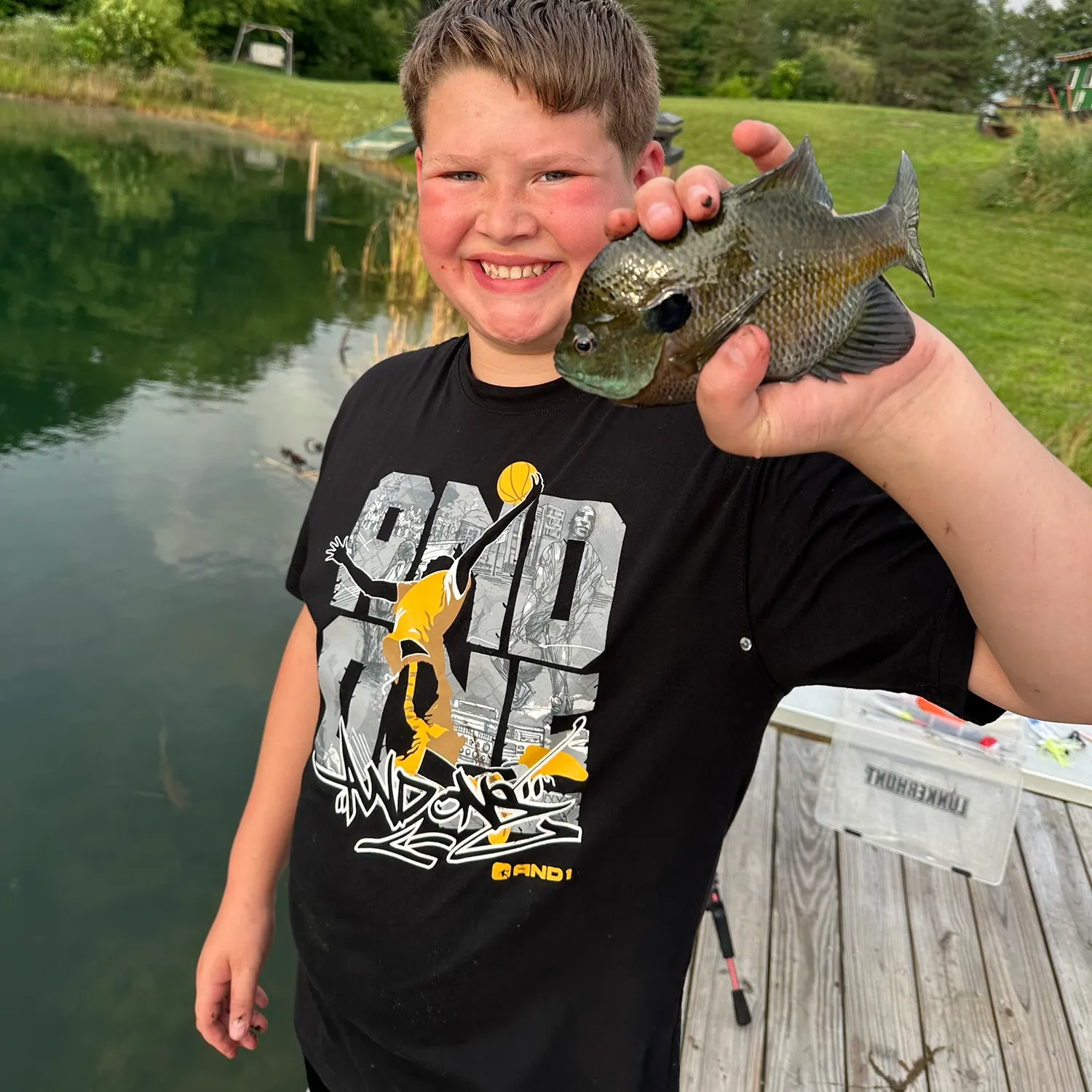 The most recent Greengill hybrid catches on Fishbrain