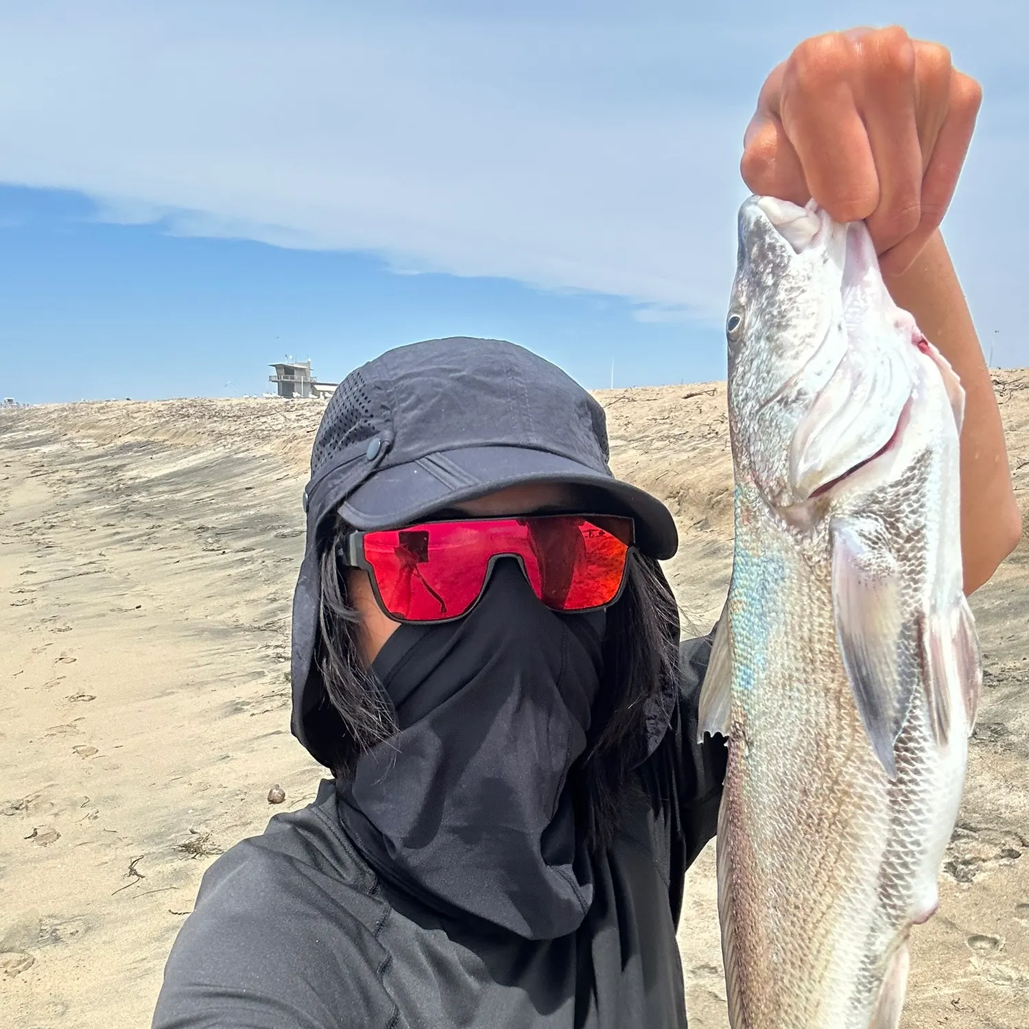 The most recent California corbina catches on Fishbrain