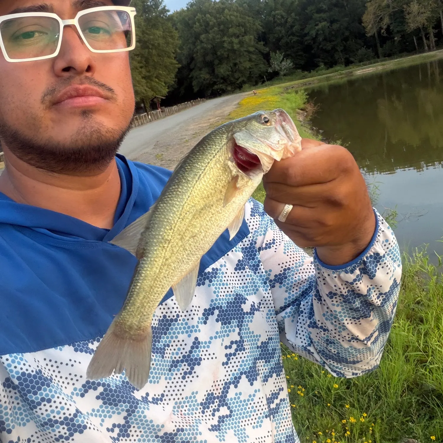 Largemouth bass caught on Fishbrain