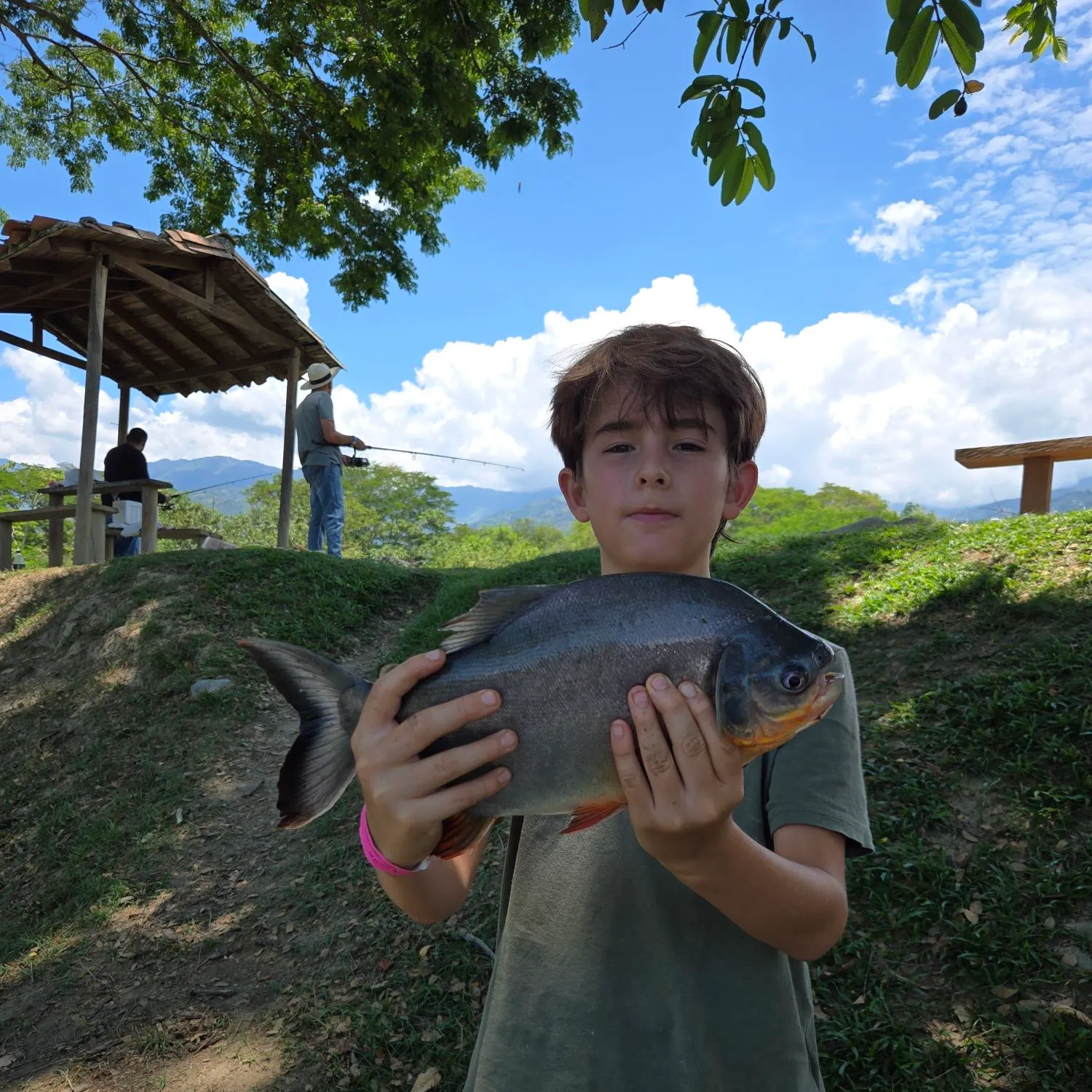 The most recent Black pacu catches on Fishbrain