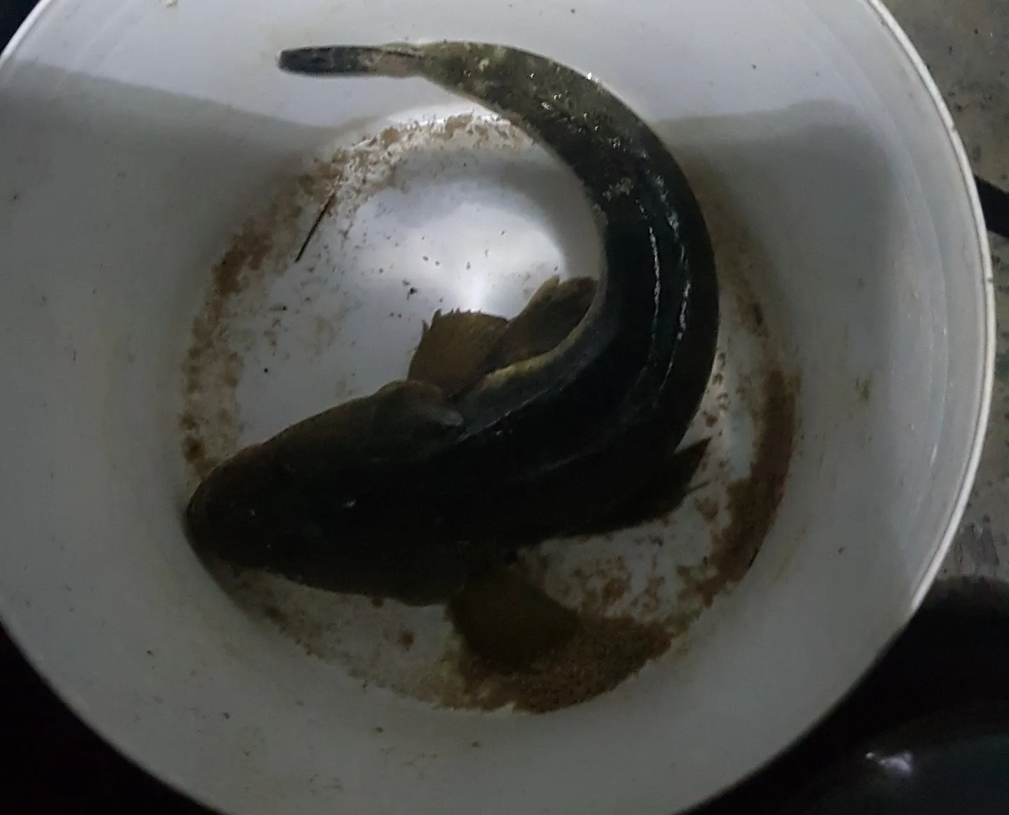 Post image from csmith2584