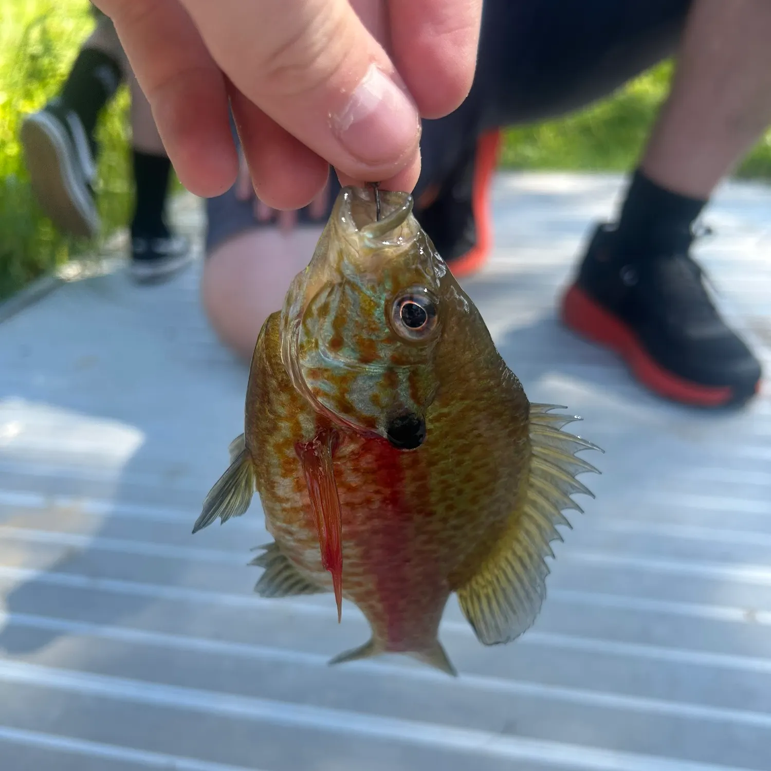 catch