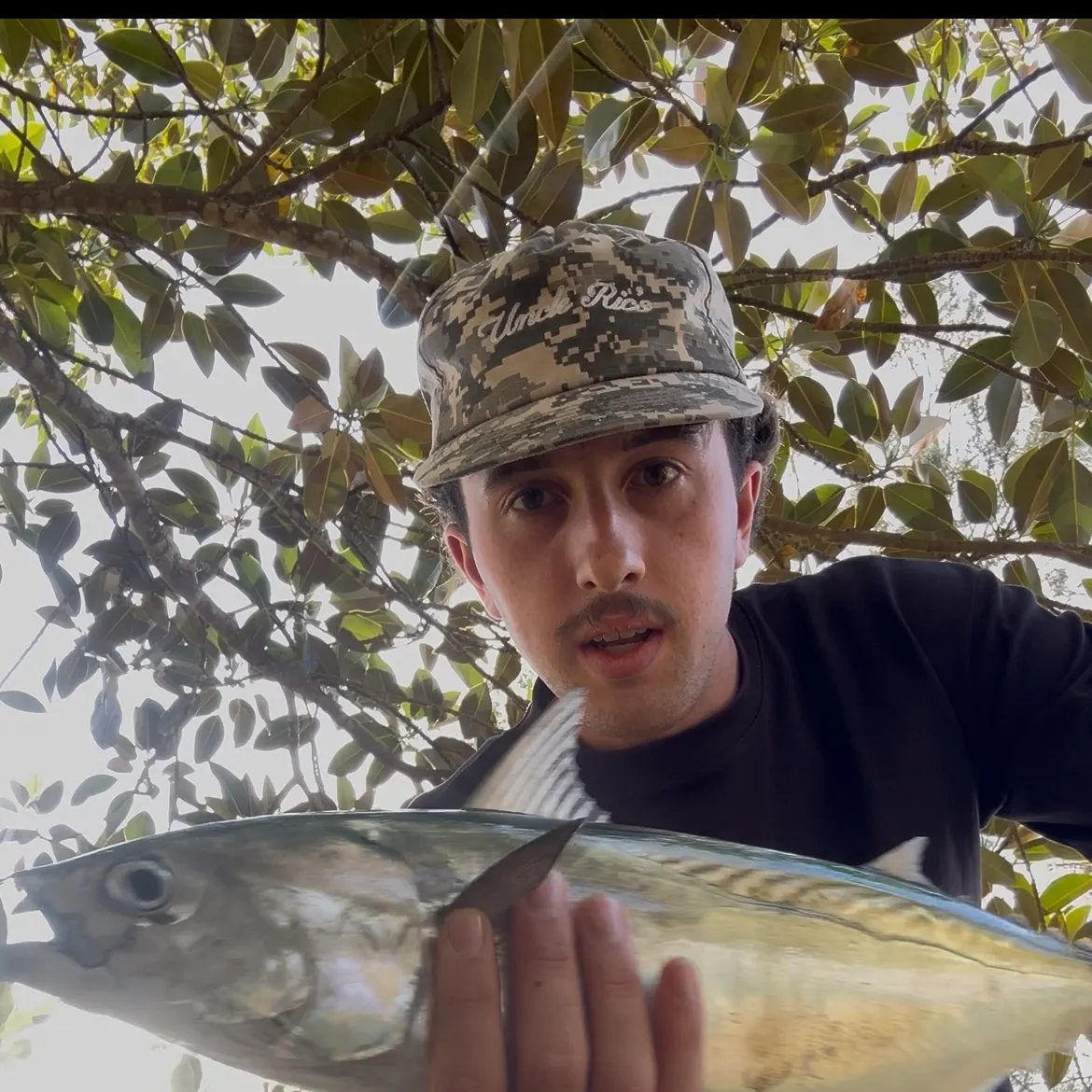 The most recent Frigate tuna catches on Fishbrain