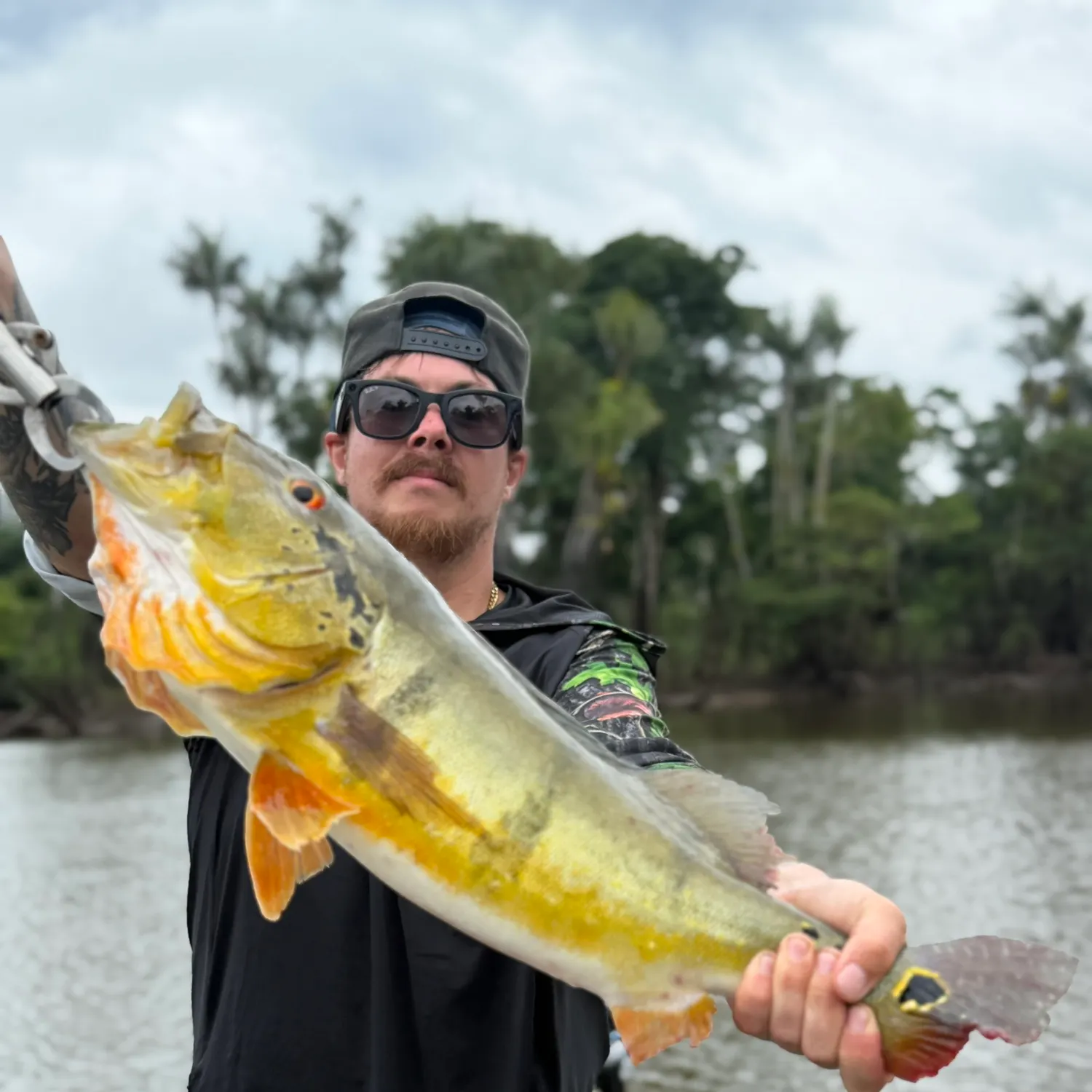 Speckled peacock bass caught on Fishbrain