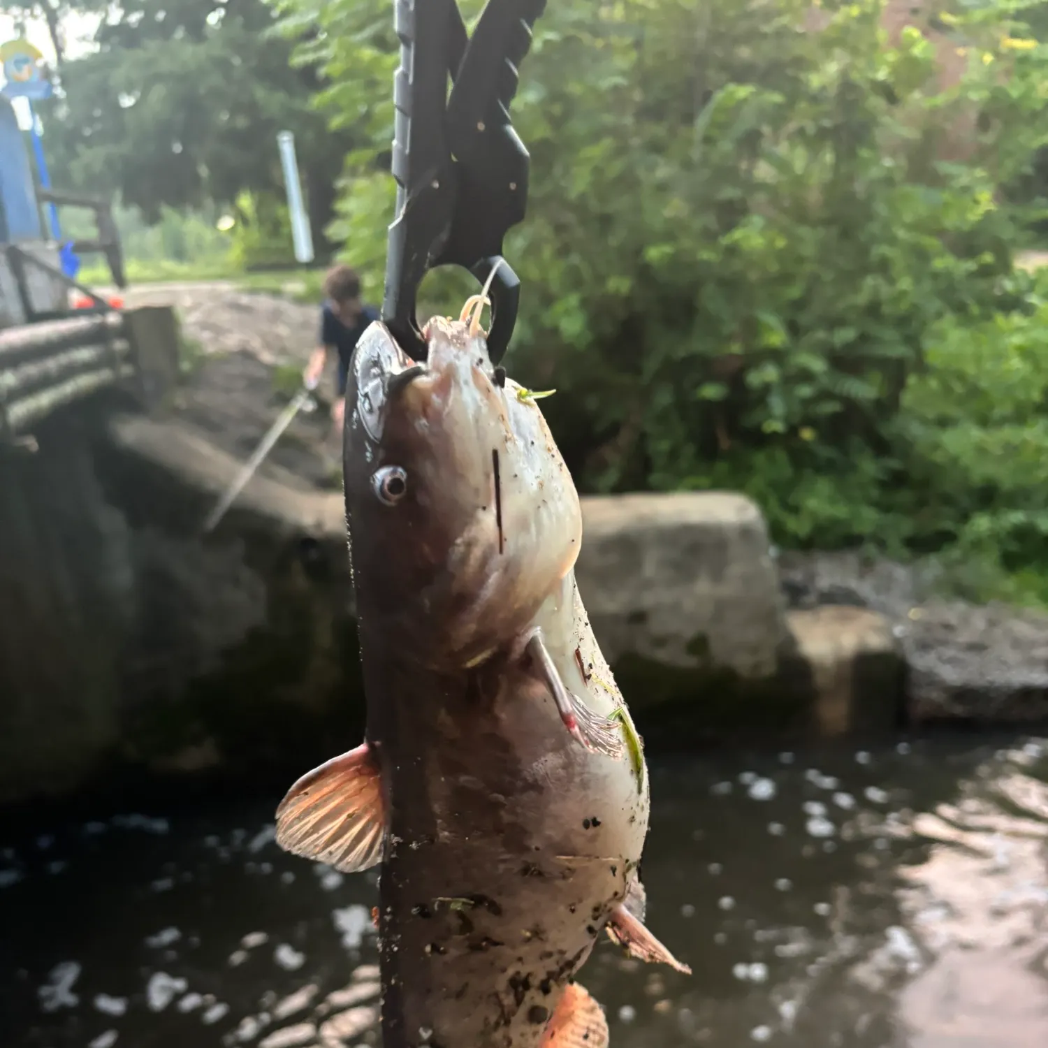 catch