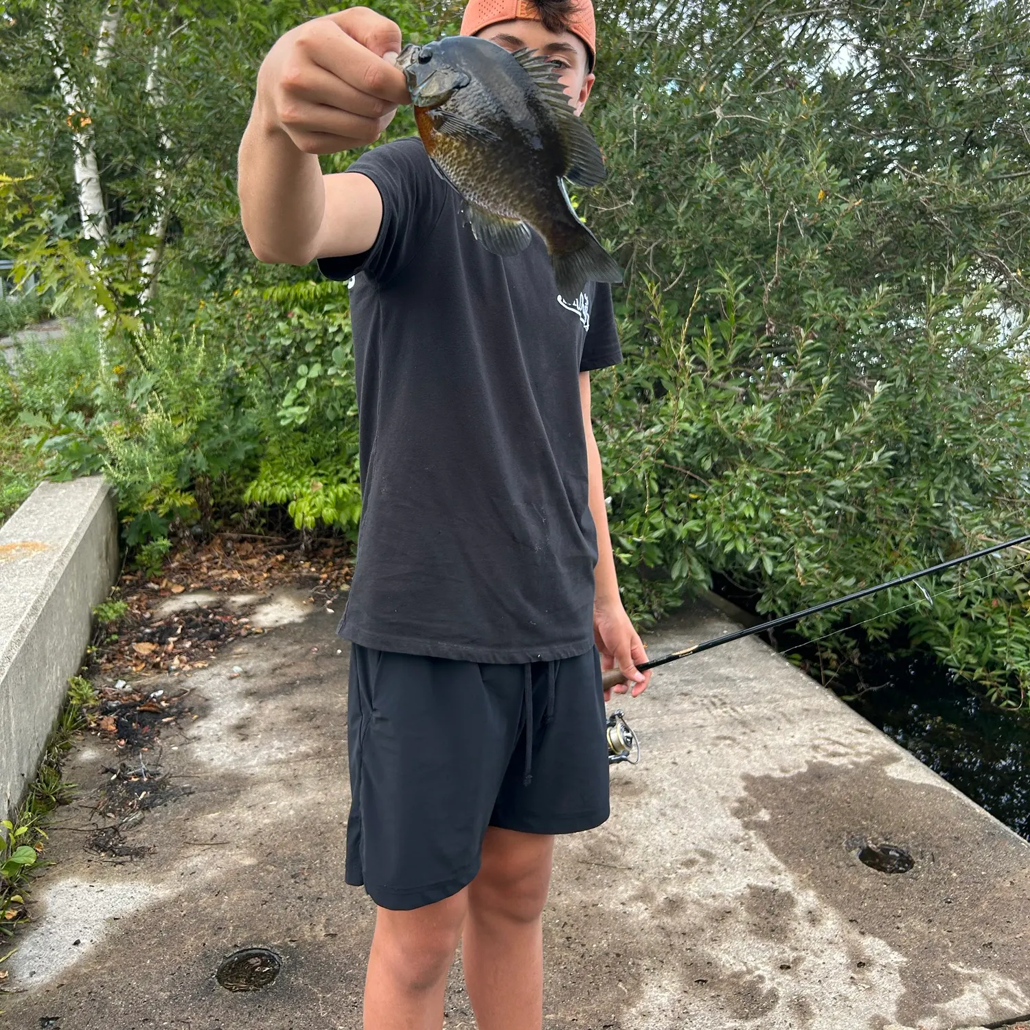 Bluegill caught on Fishbrain