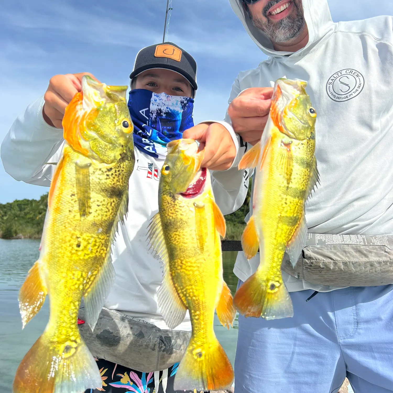 The most recent Butterfly peacock bass catches on Fishbrain