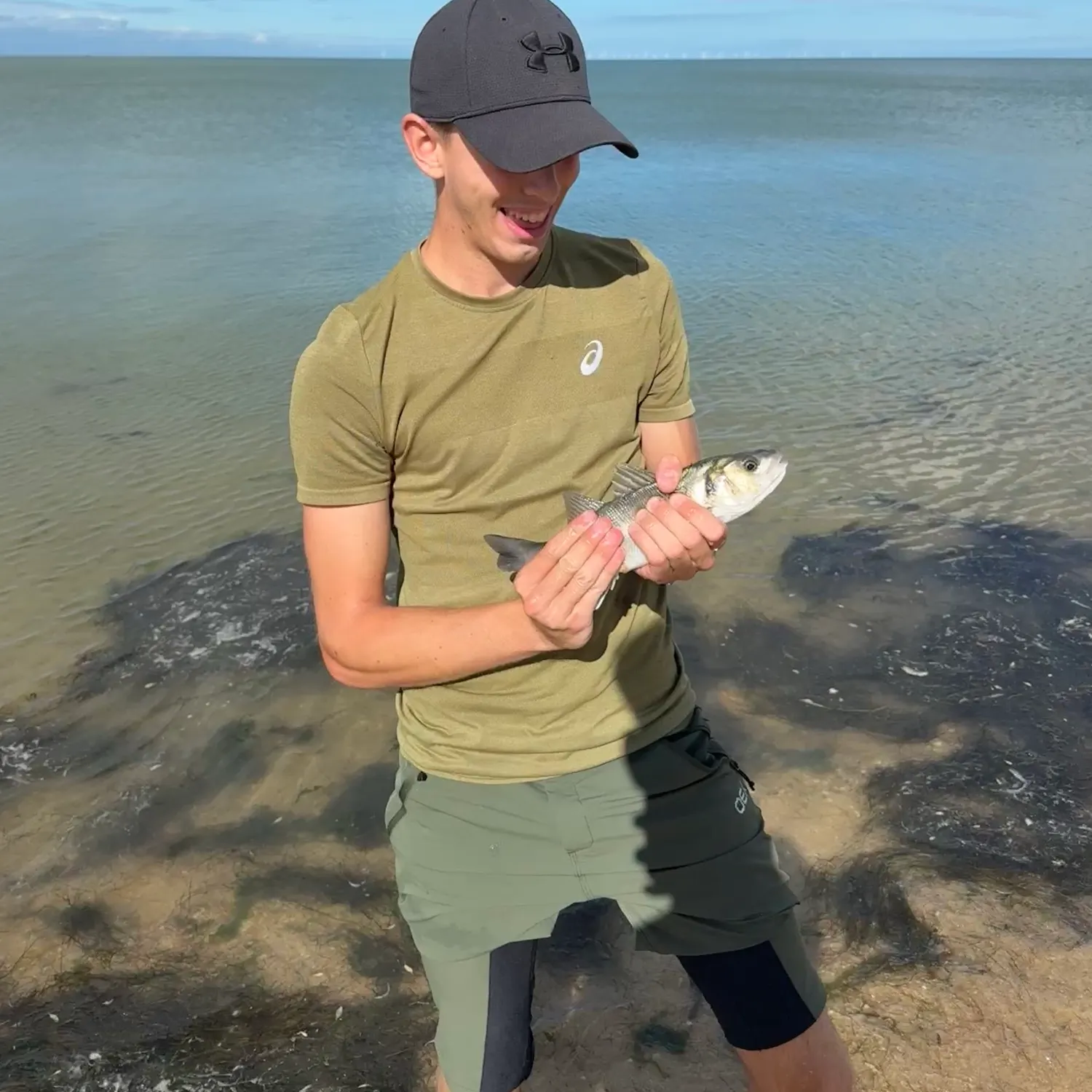 European seabass caught on Fishbrain