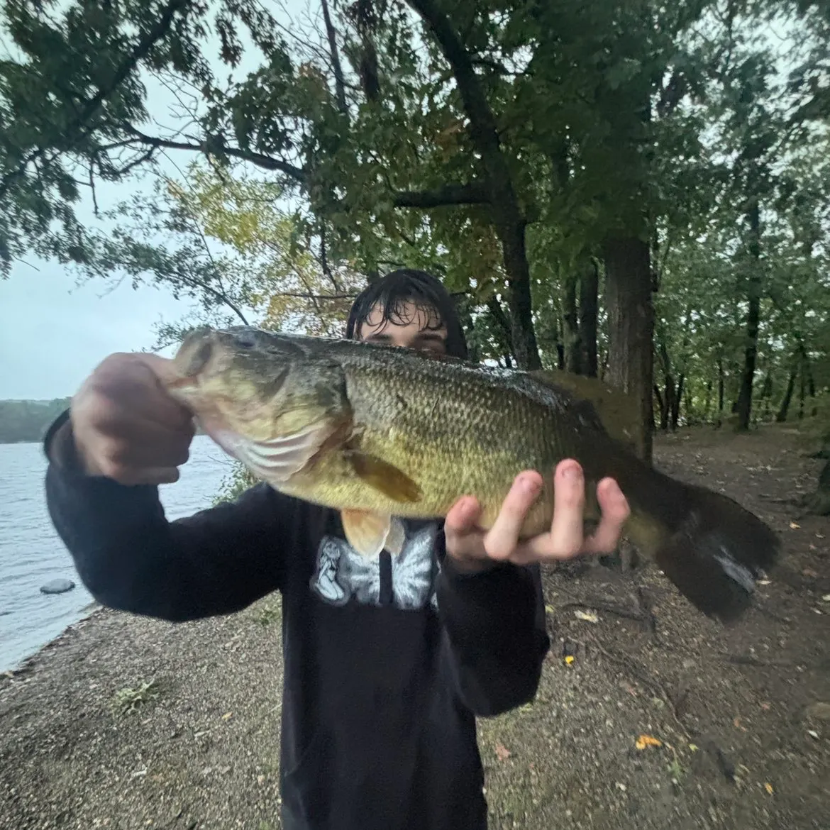 Largemouth bass caught on Fishbrain