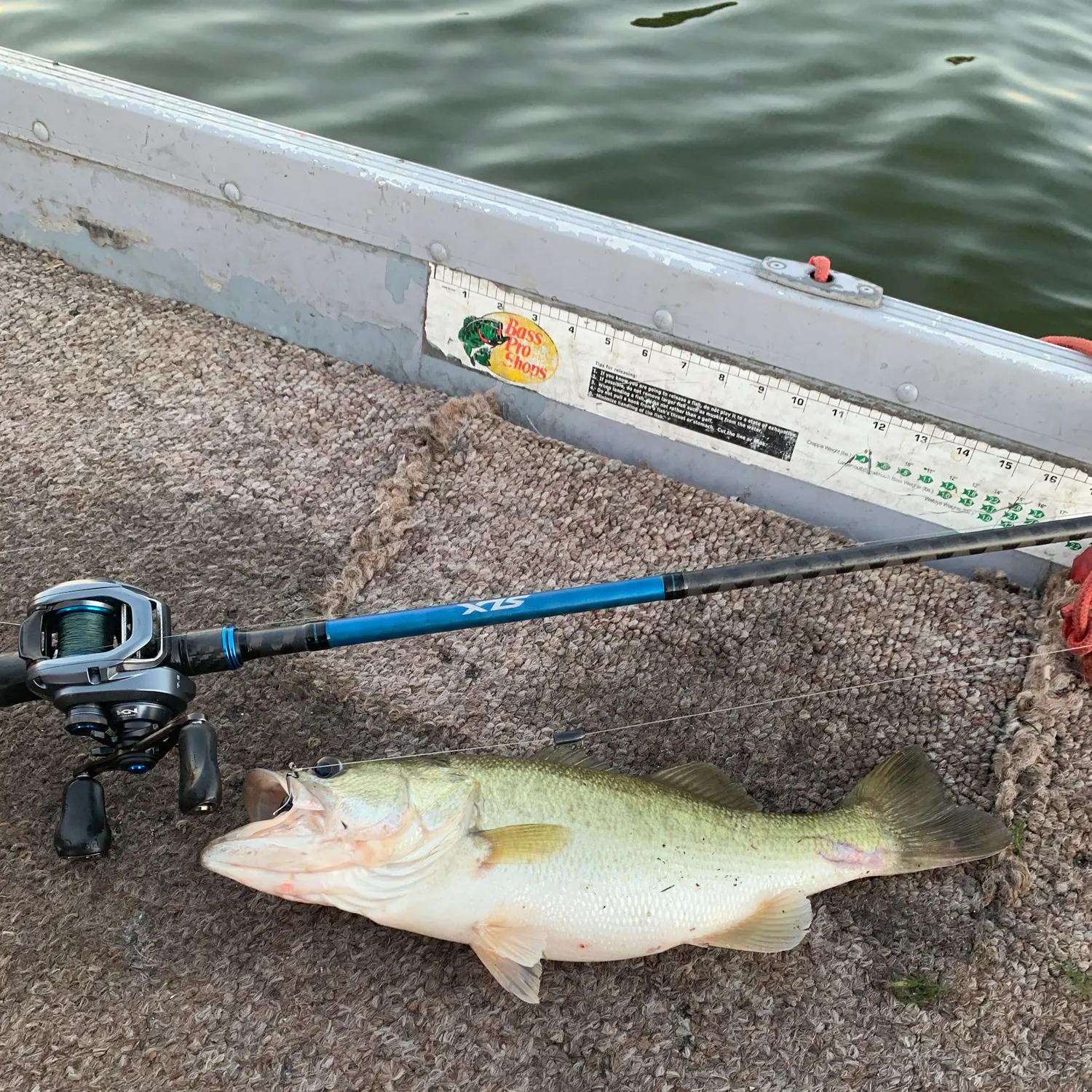 Largemouth bass caught on Fishbrain