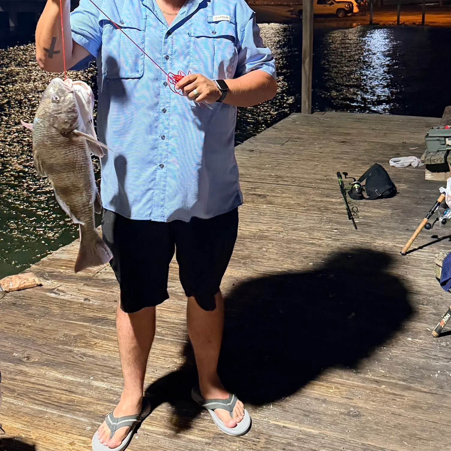 The most recent Black drum catches on Fishbrain