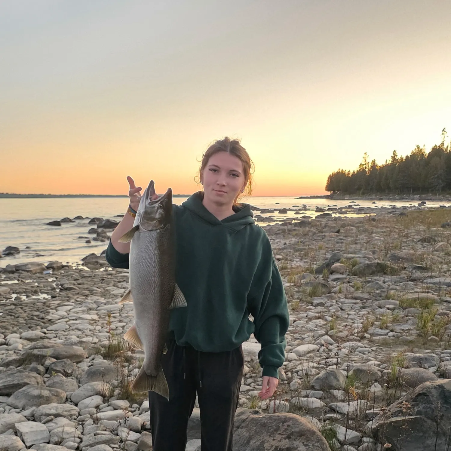 Coho salmon caught on Fishbrain