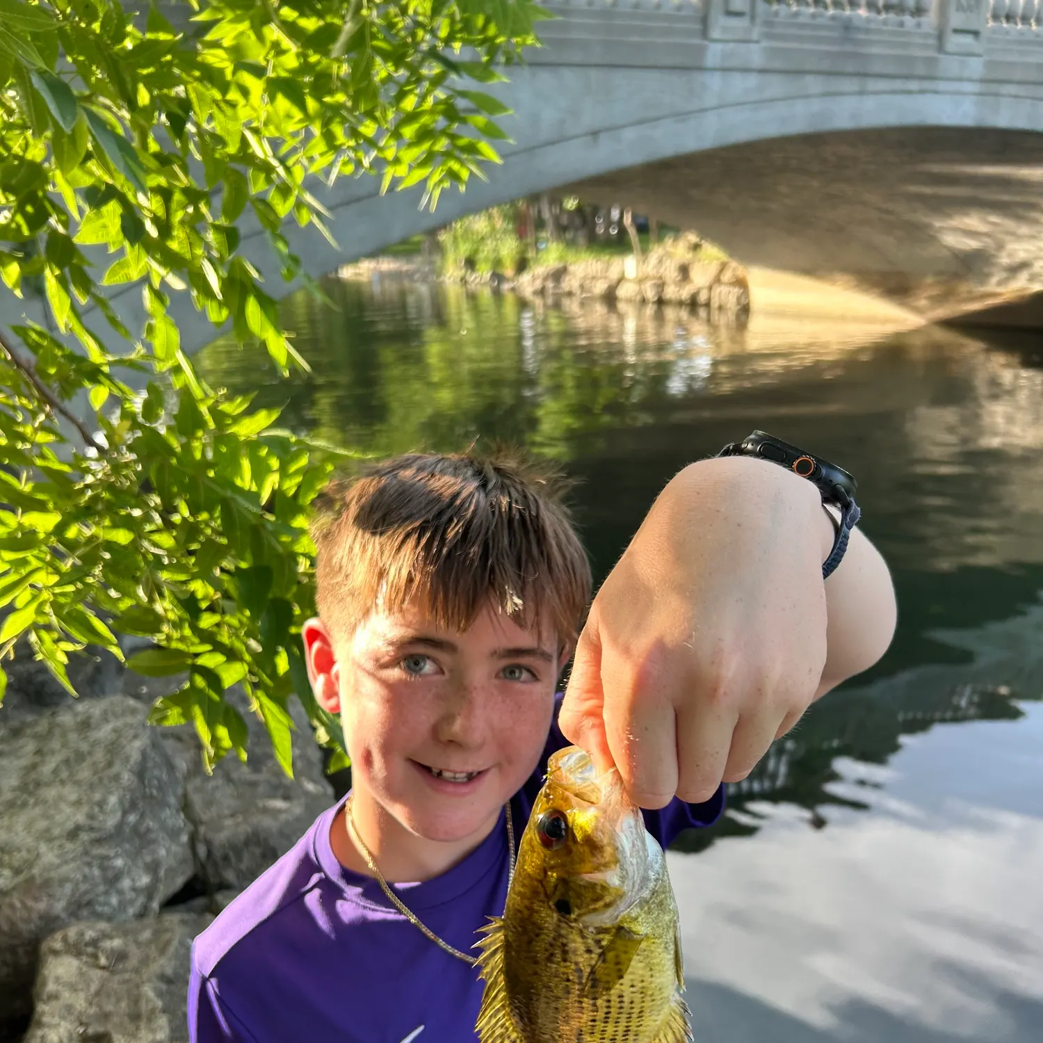 catch