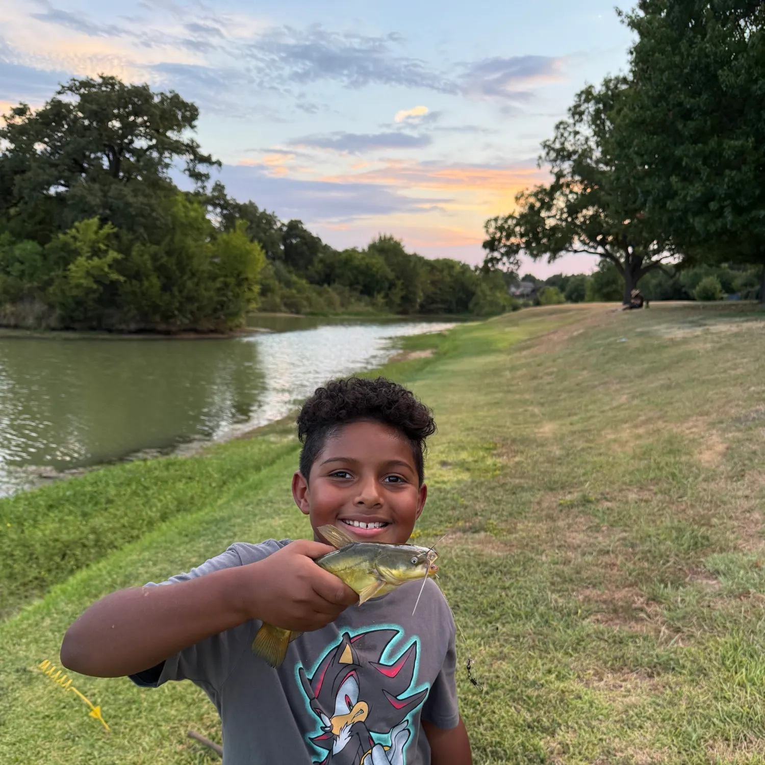 Yellow bullhead caught on Fishbrain