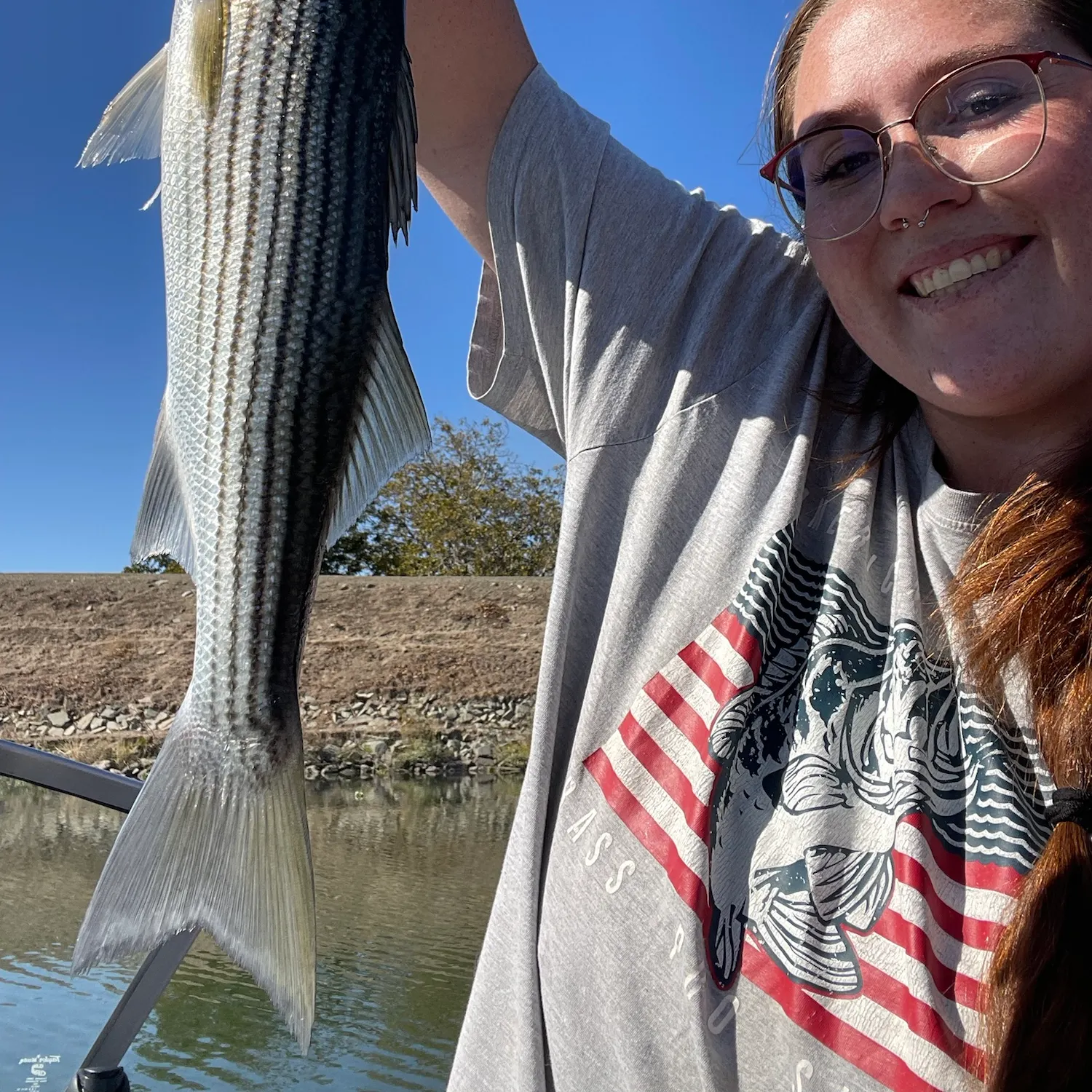 Striped bass caught on Fishbrain