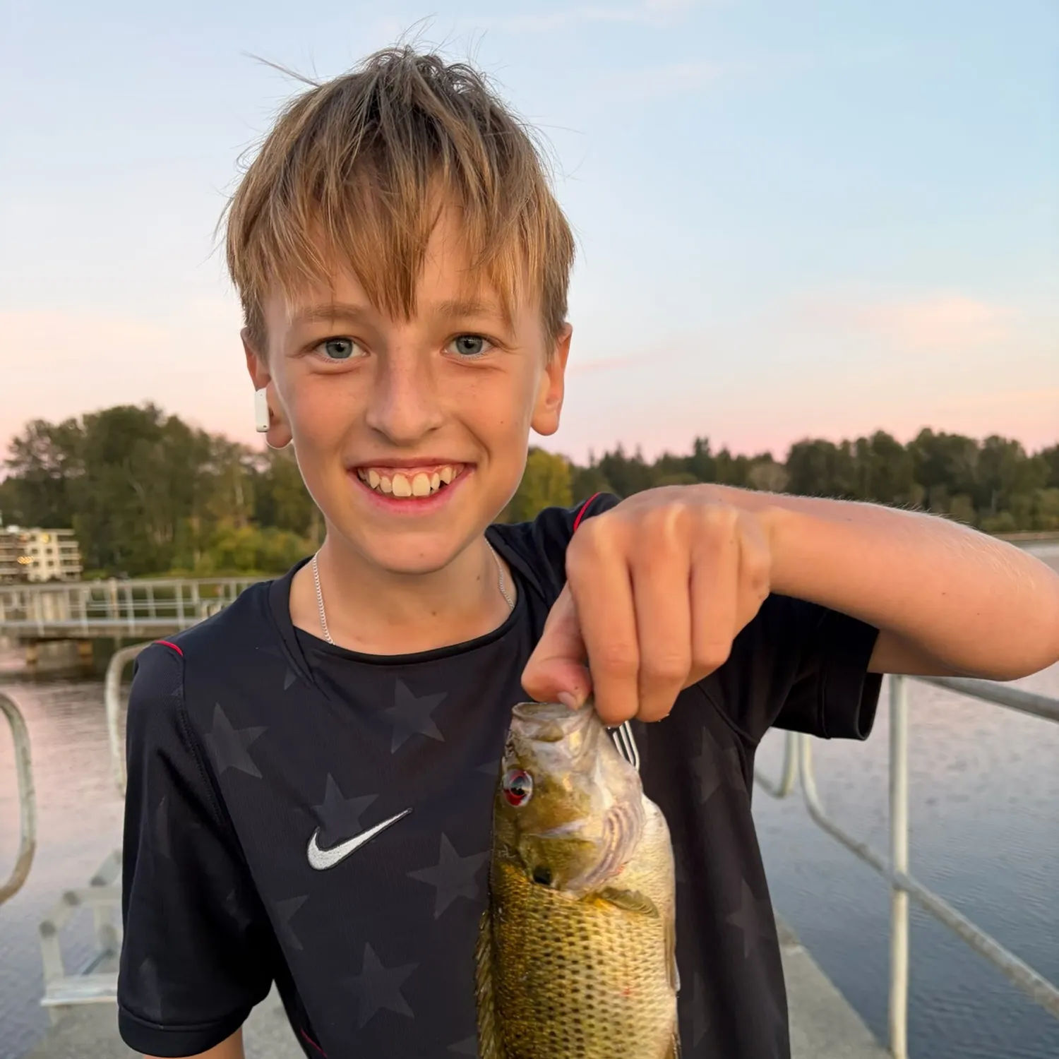 Rock bass caught on Fishbrain
