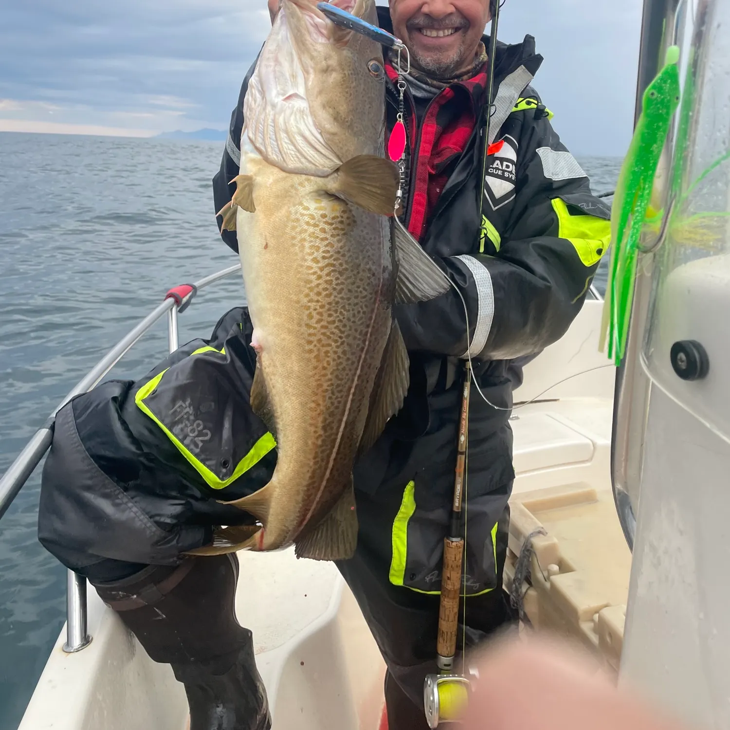 The most recent Atlantic cod catches on Fishbrain