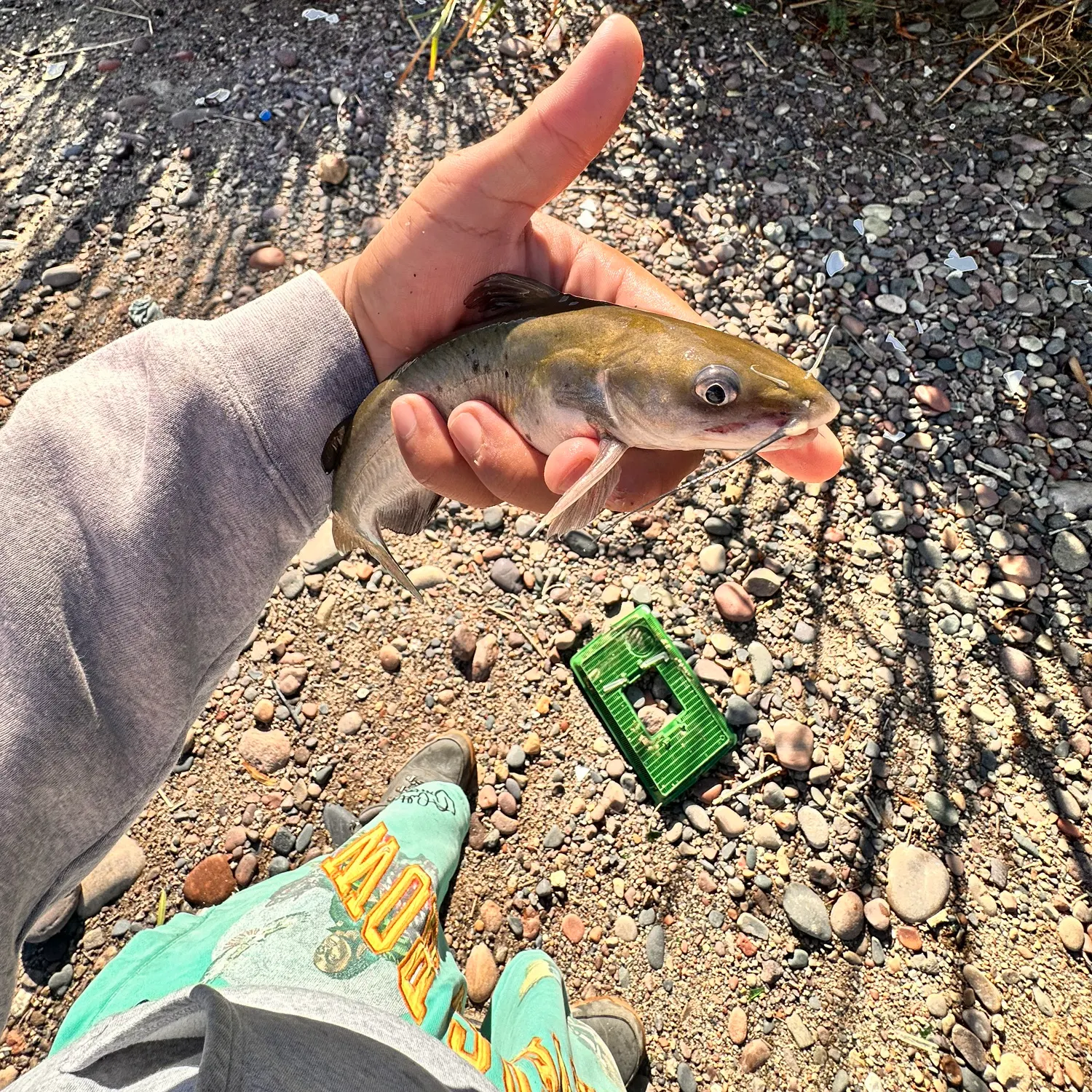 catch