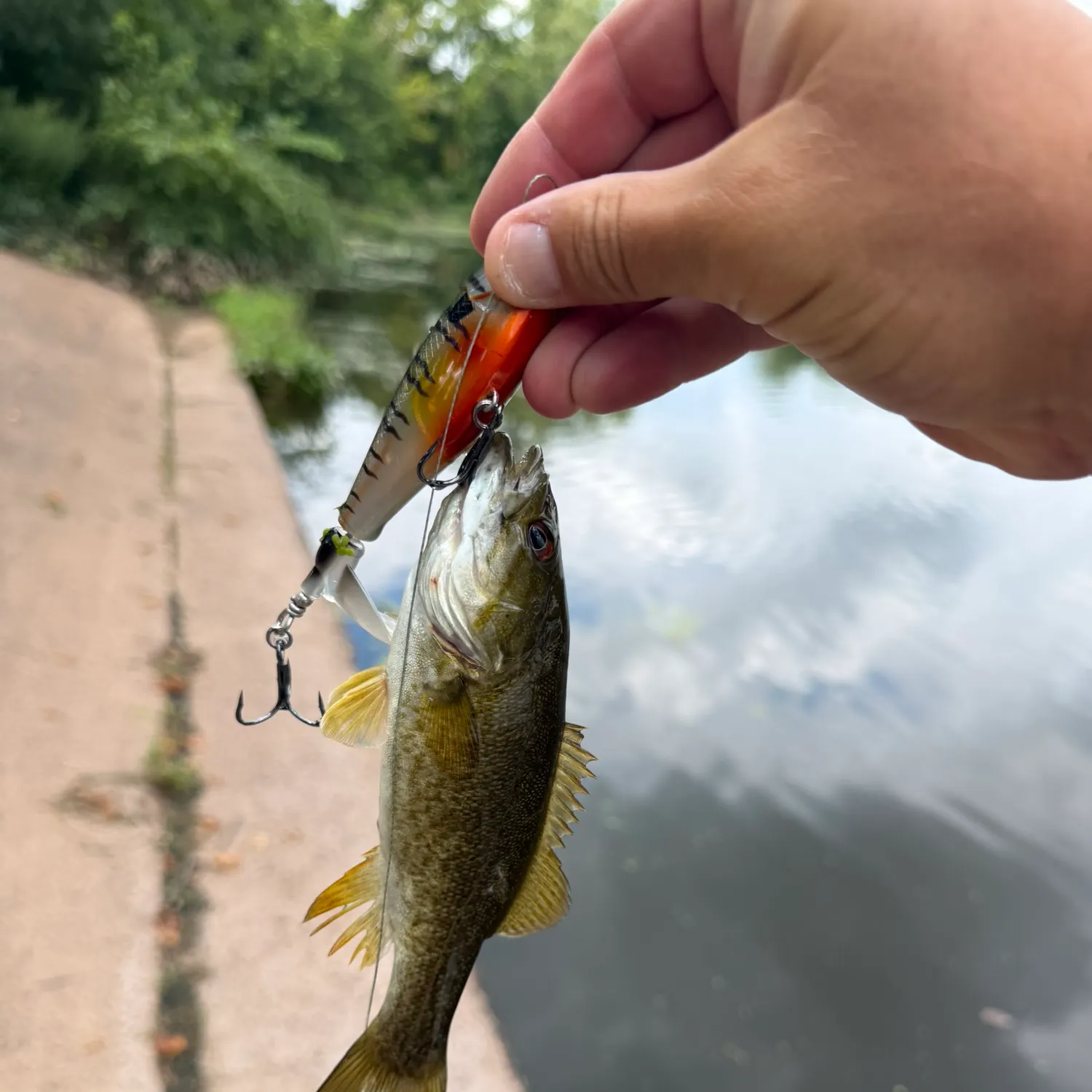 catch