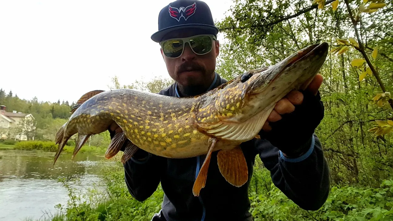 Post image from JPsson