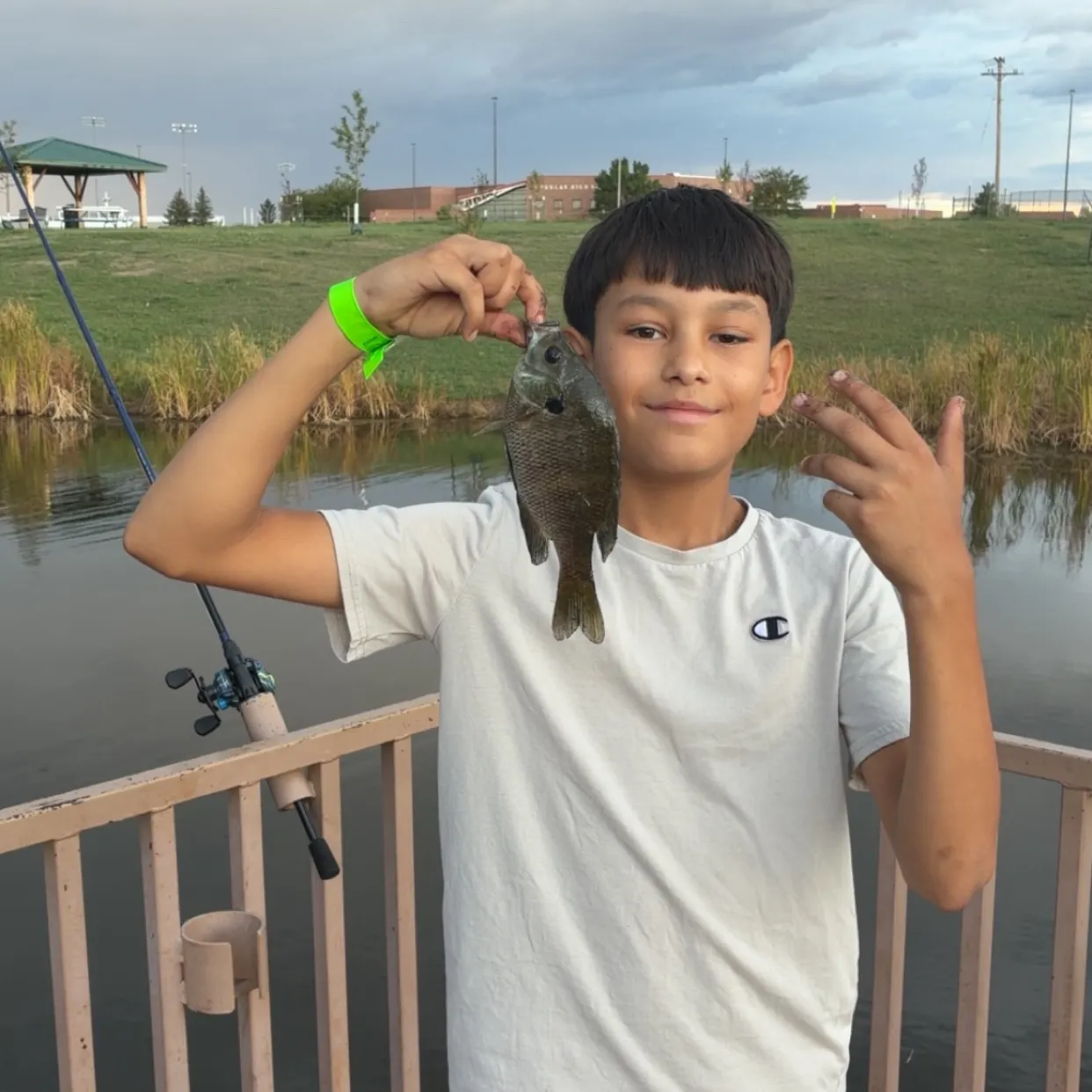 Bluegill caught on Fishbrain