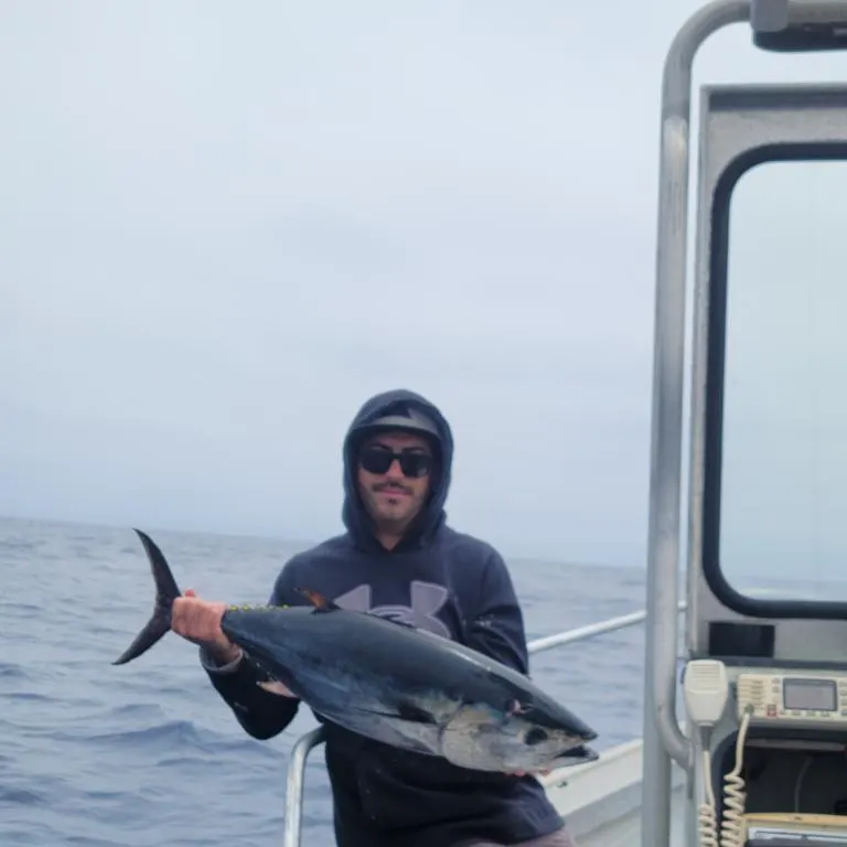 The most recent Pacific bluefin tuna catches on Fishbrain
