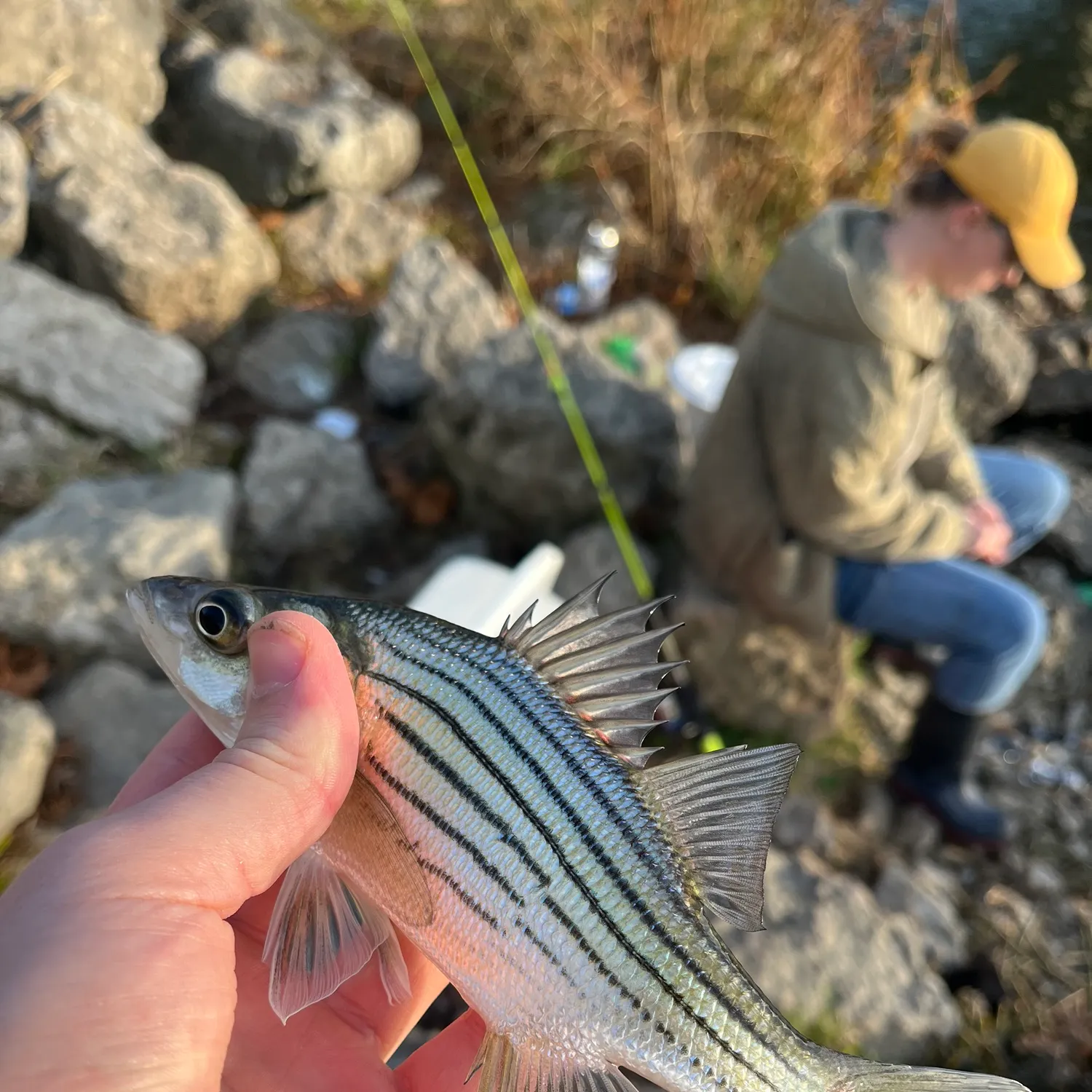 ᐅ Prairie Creek Reservoir fishing reports🎣• Muncie, IN (United States ...