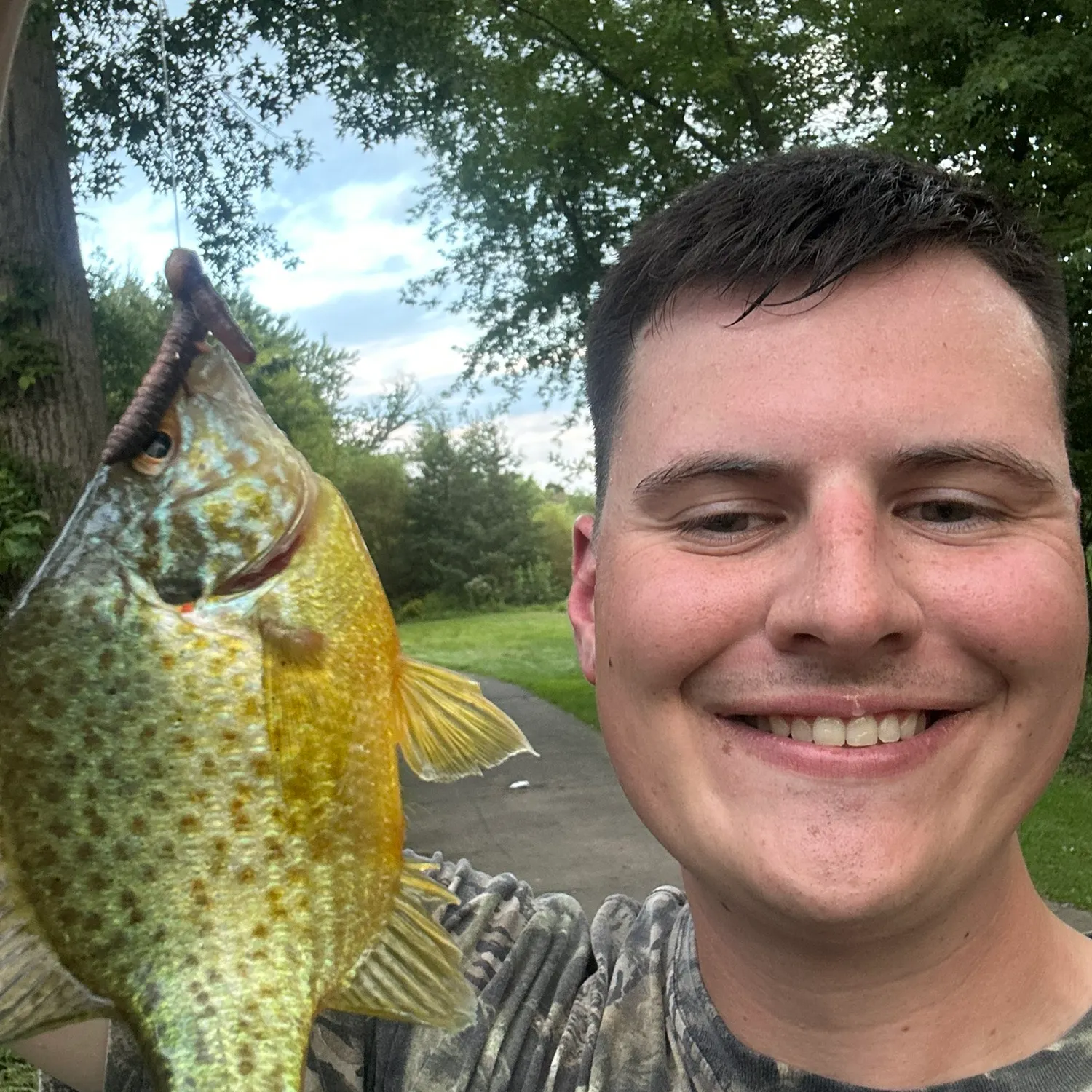 Pumpkinseed caught on Fishbrain