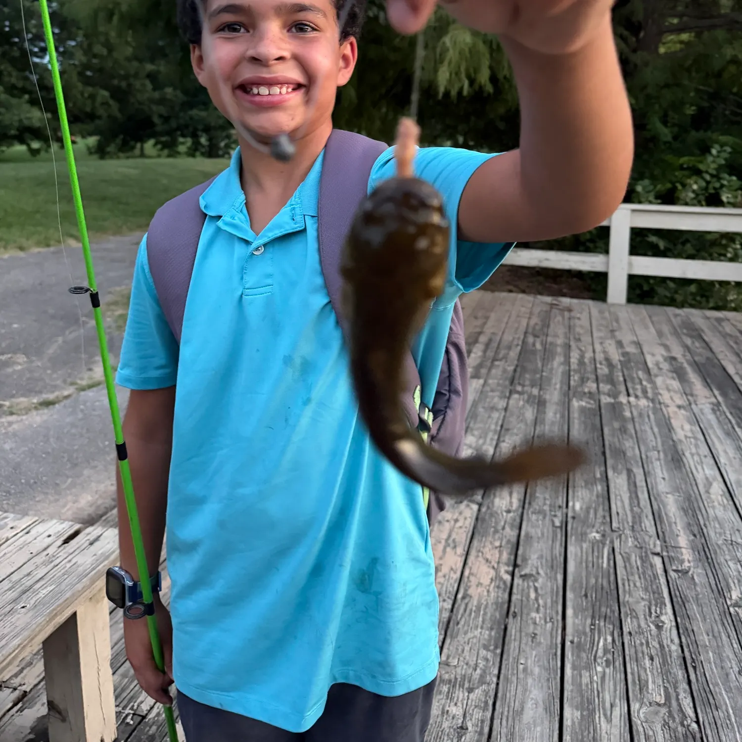 Channel catfish caught on Fishbrain