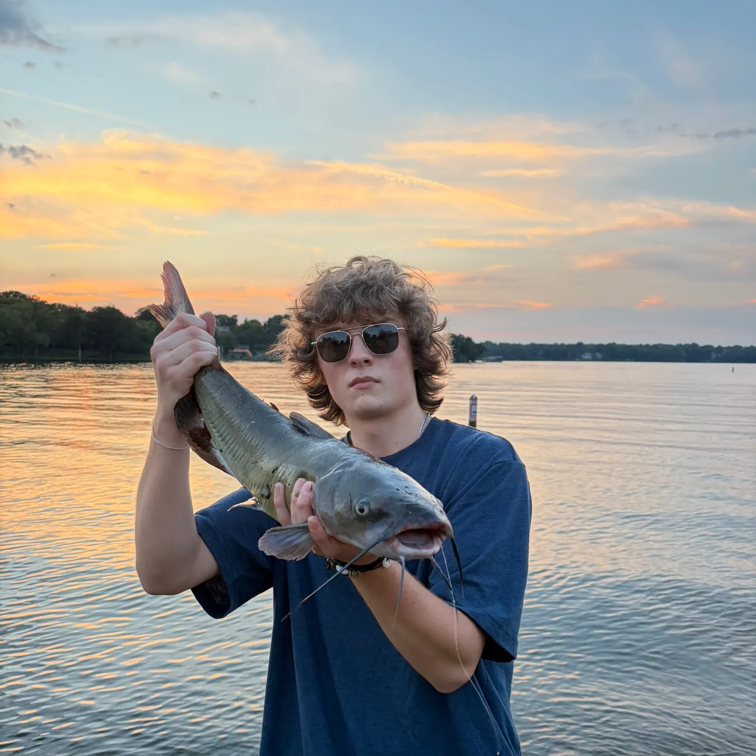 Channel catfish caught on Fishbrain