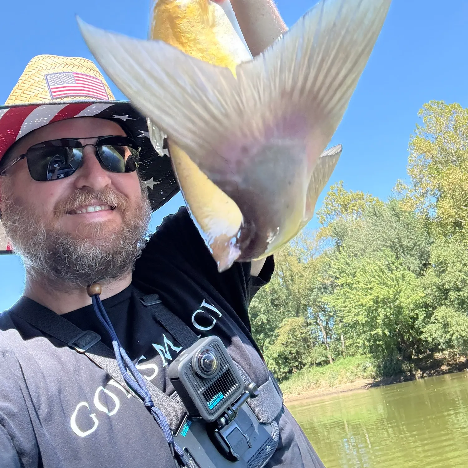 Channel catfish caught on Fishbrain