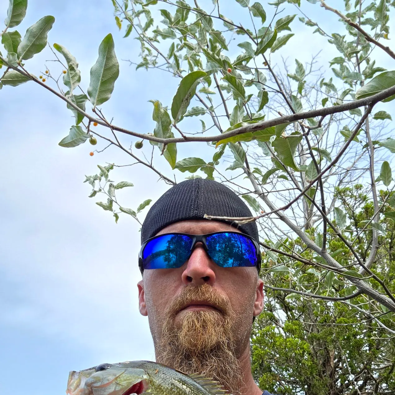 Smallmouth bass caught on Fishbrain