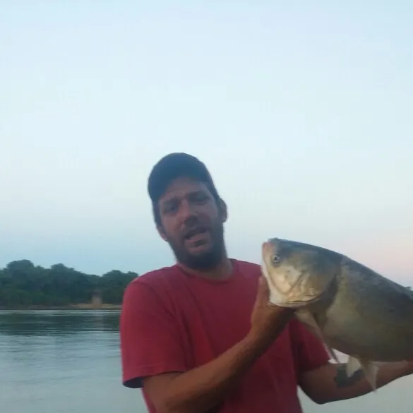 Fish caught on Fishbrain