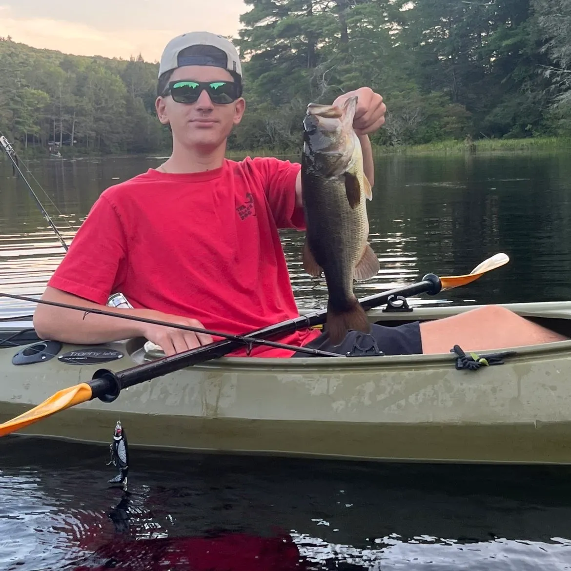 Largemouth bass caught on Fishbrain