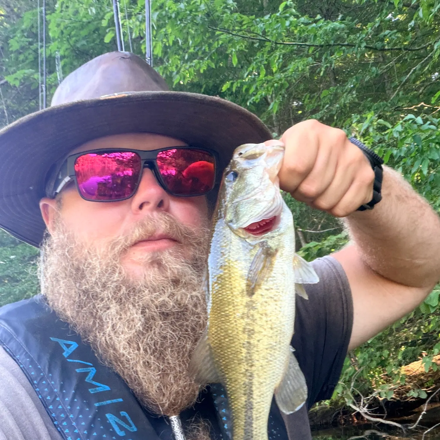 Largemouth bass caught on Fishbrain