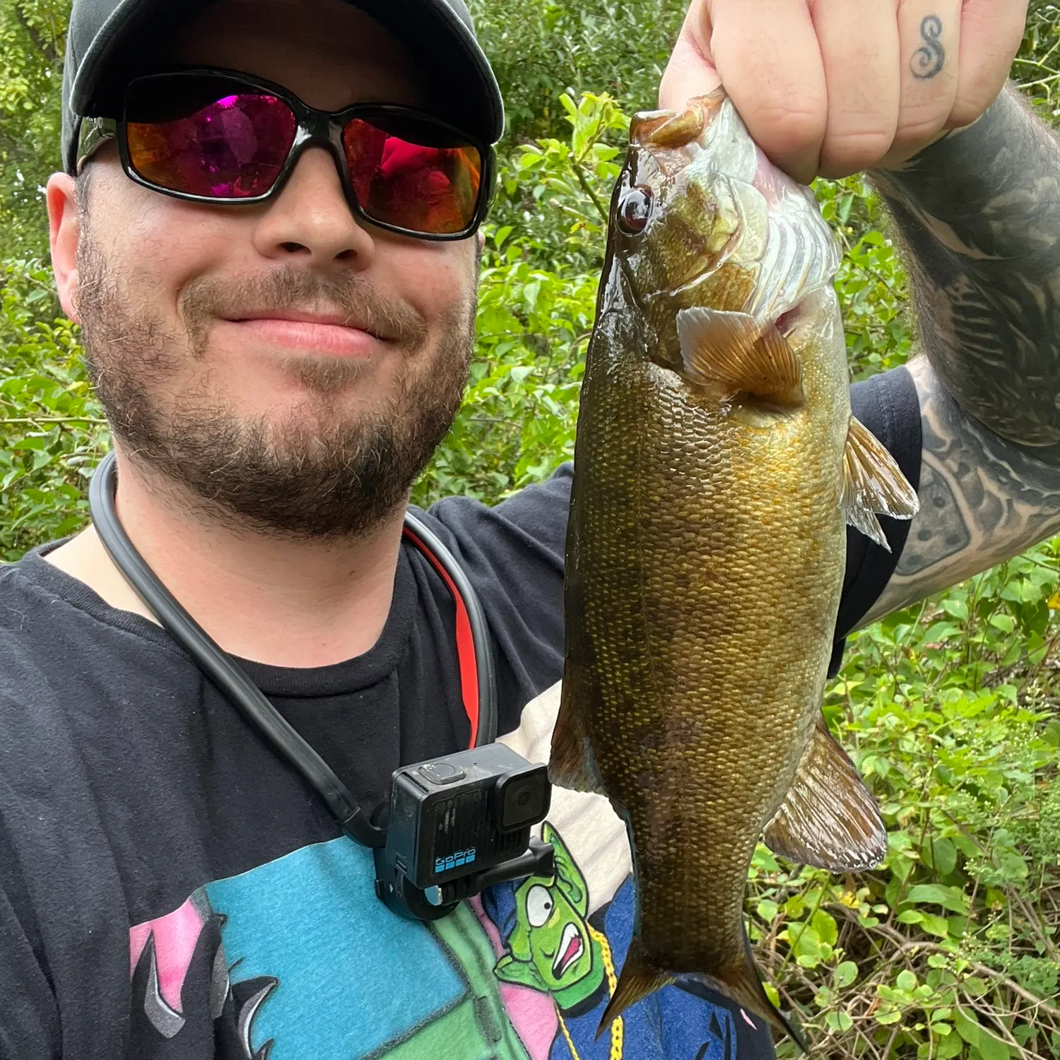Smallmouth bass caught on Fishbrain