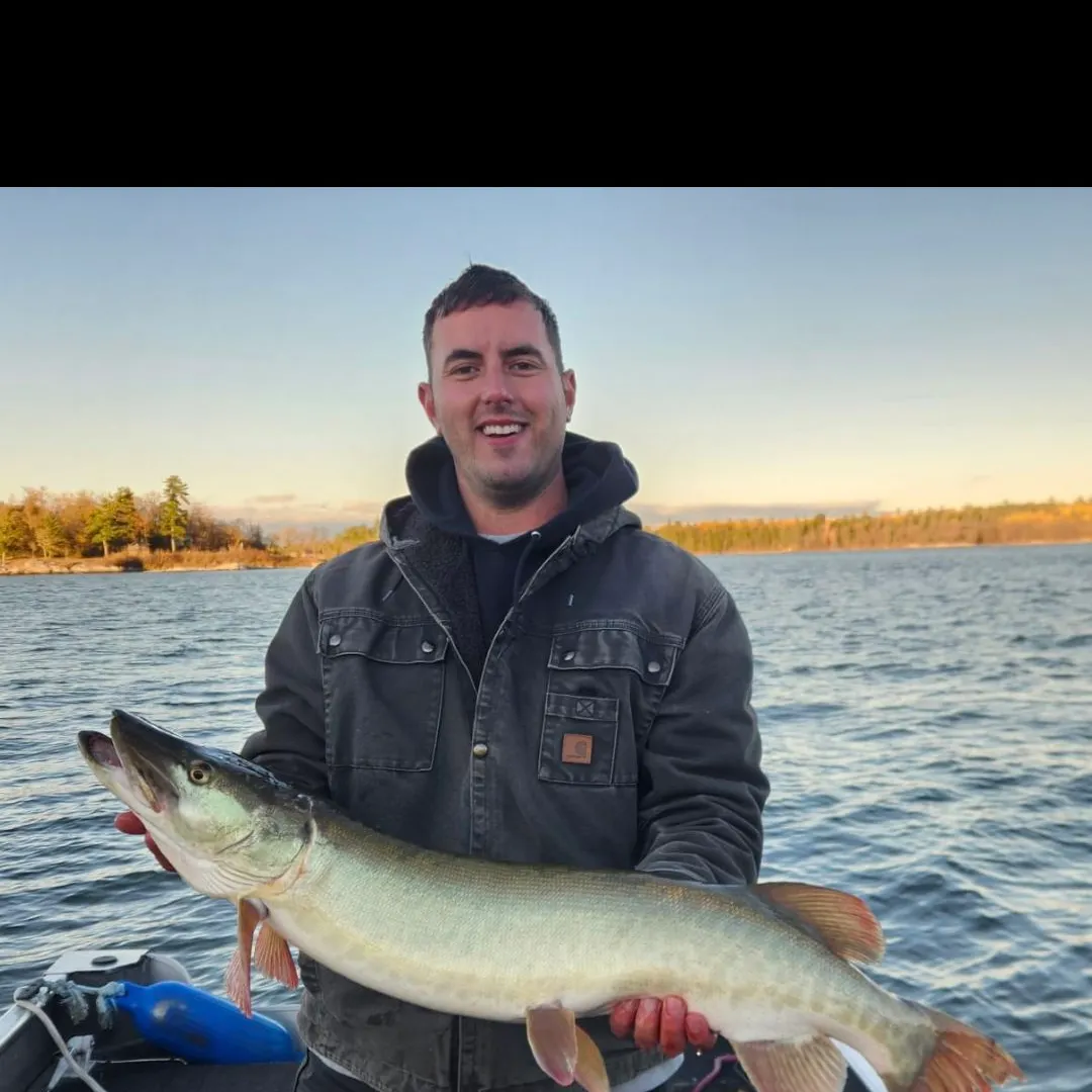 The most recent Muskellunge catches on Fishbrain