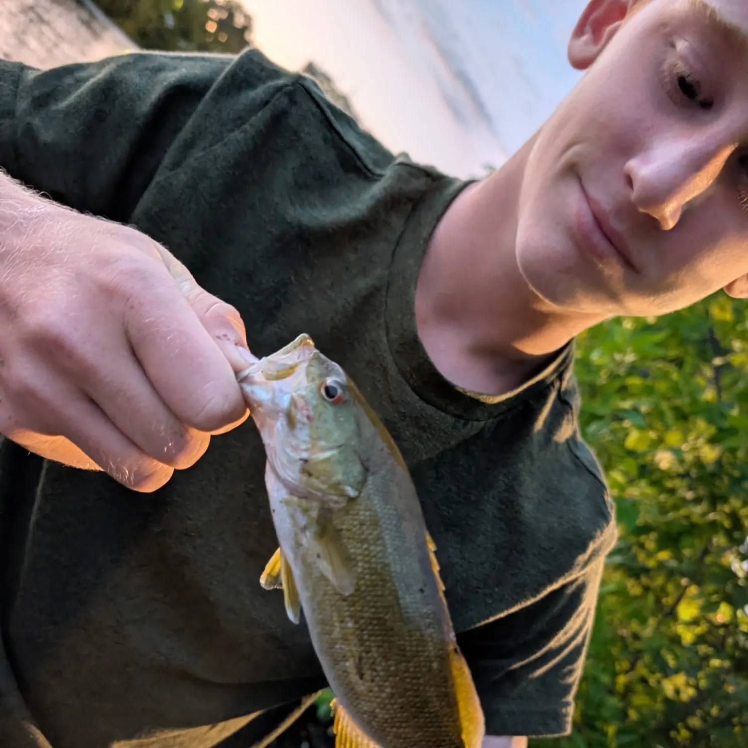 Smallmouth bass caught on Fishbrain