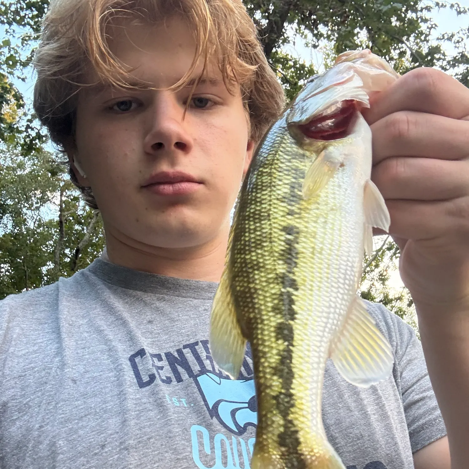 Spotted bass caught on Fishbrain
