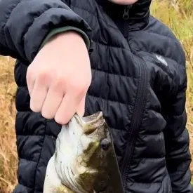 Smallmouth bass caught on Fishbrain