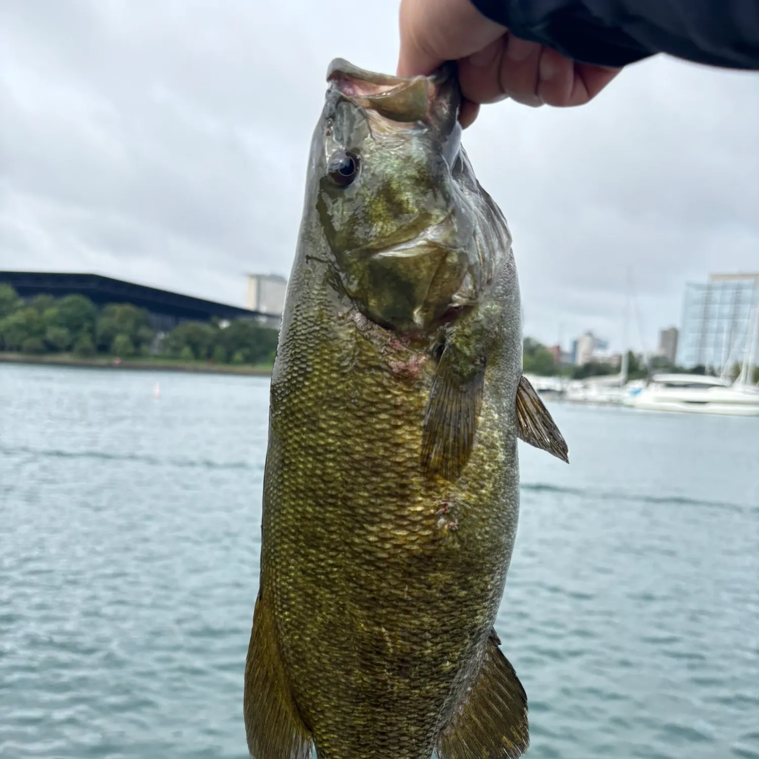 catch