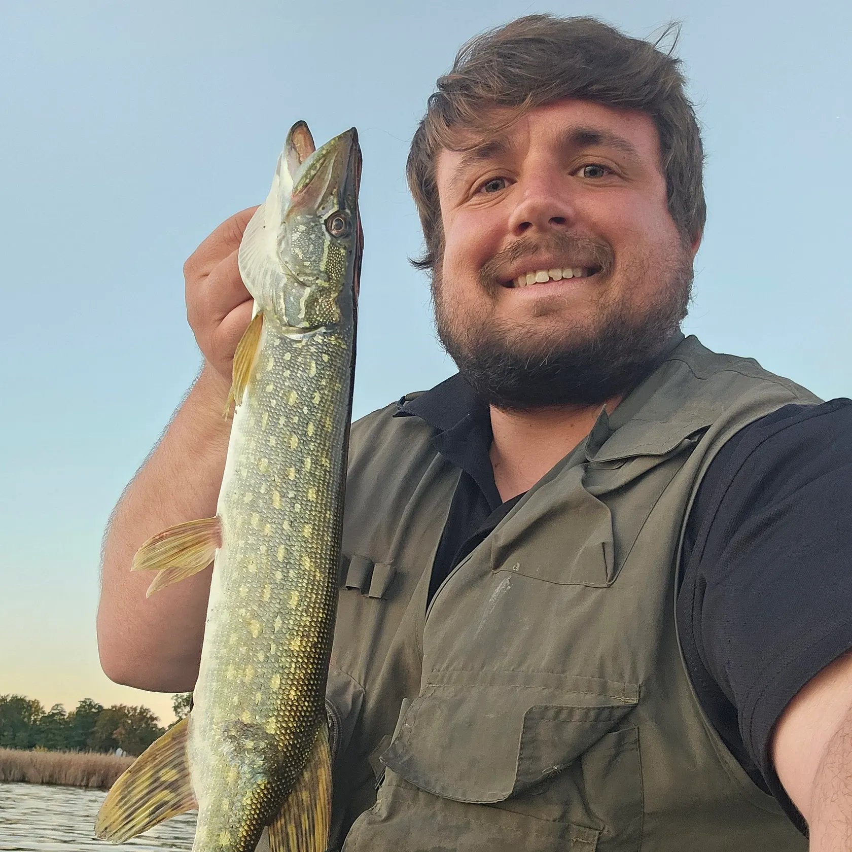Northern pike caught on Fishbrain