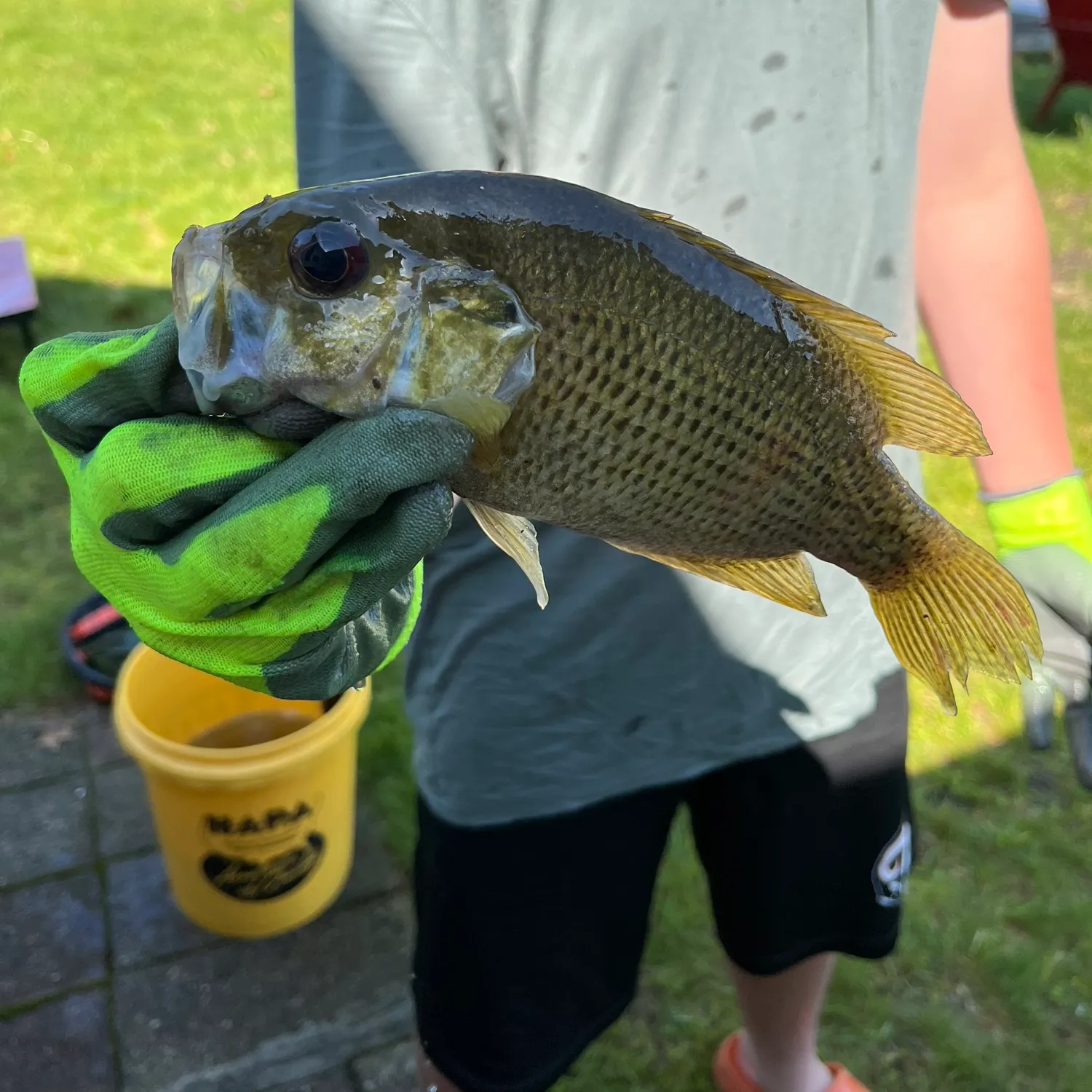 catch