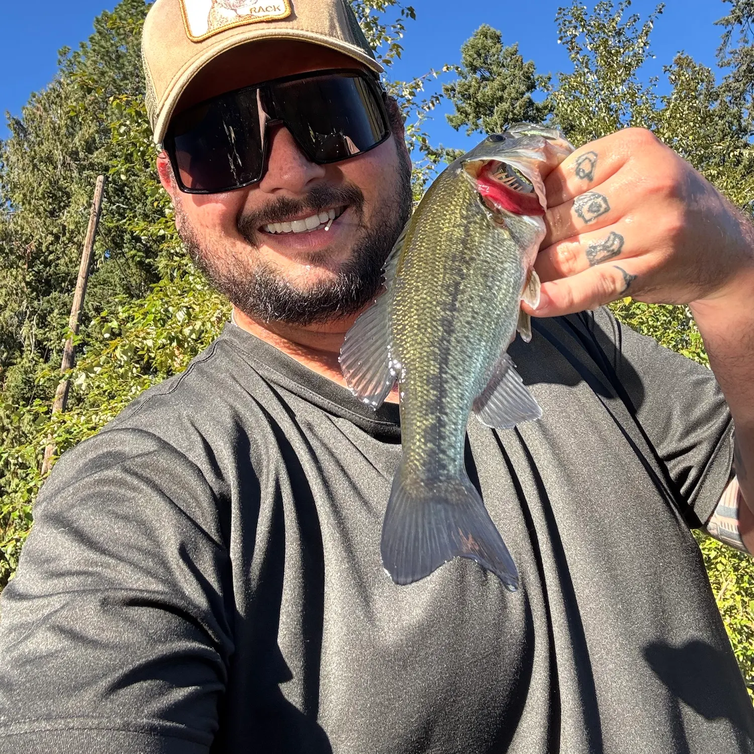 Largemouth bass caught on Fishbrain
