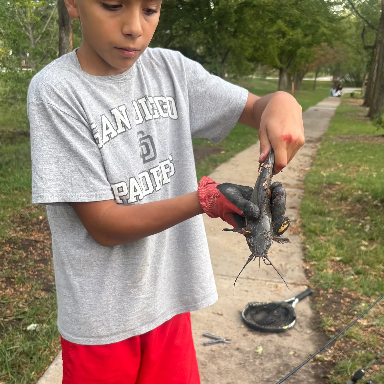 Channel catfish caught on Fishbrain