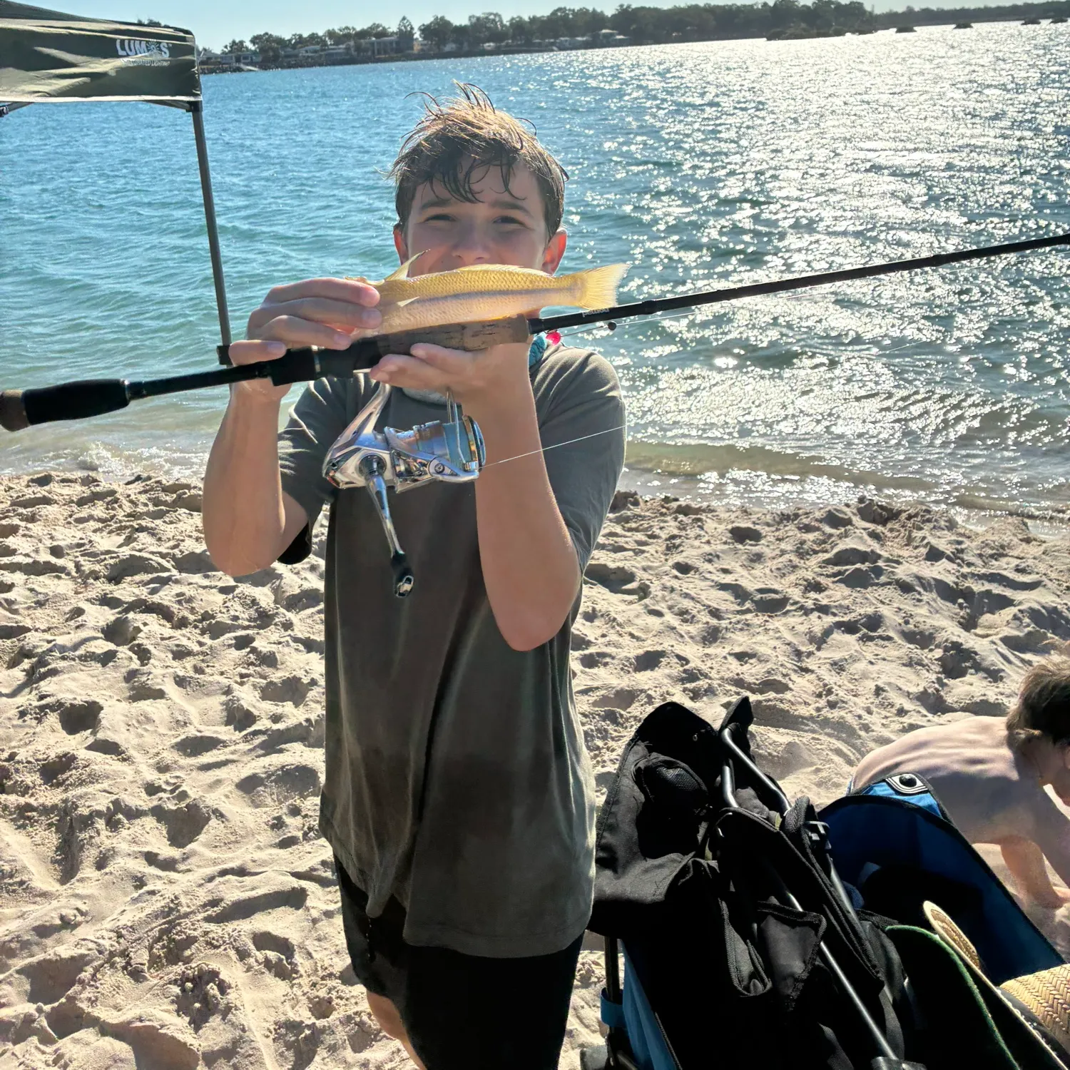 Sand sillago caught on Fishbrain