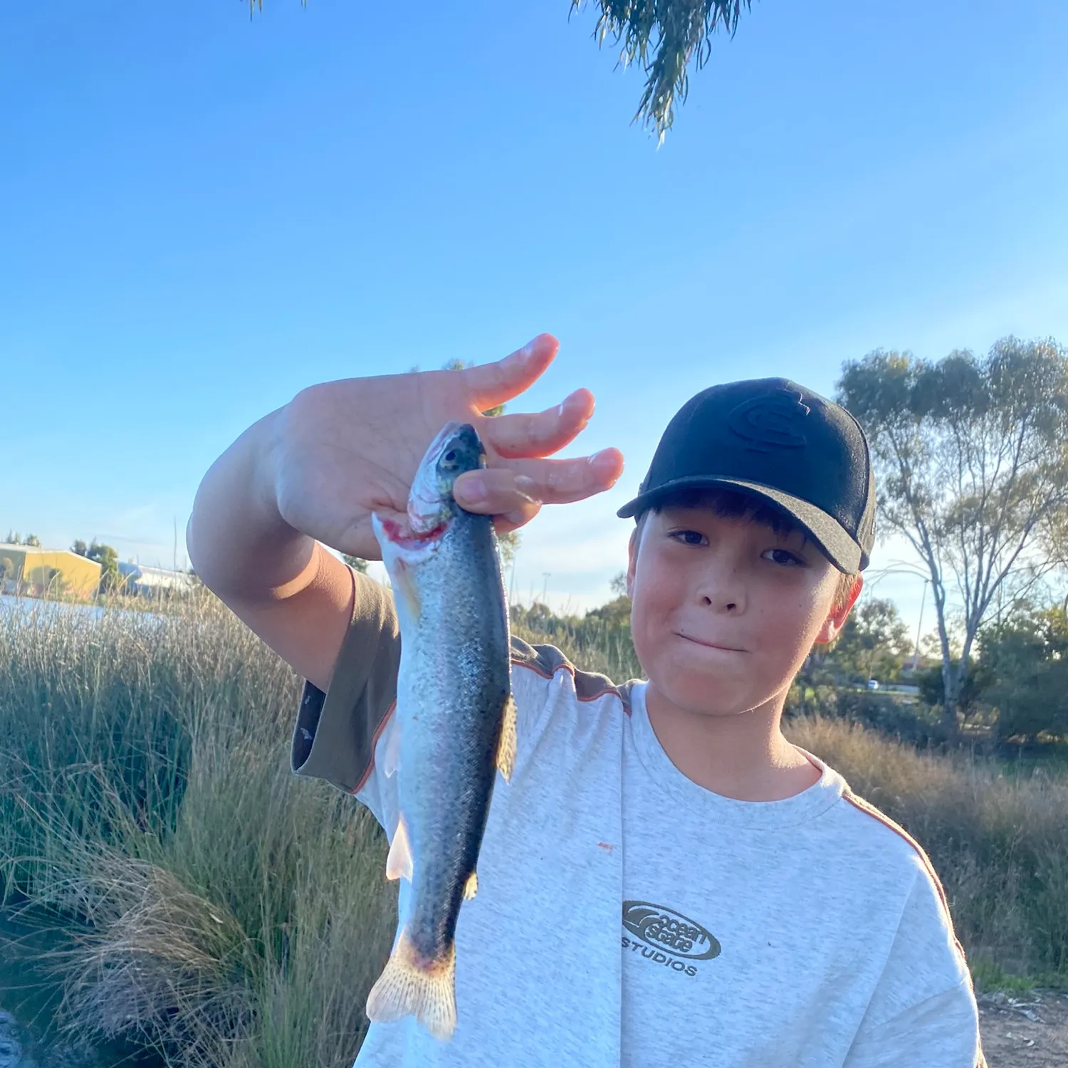 Rainbow trout caught on Fishbrain