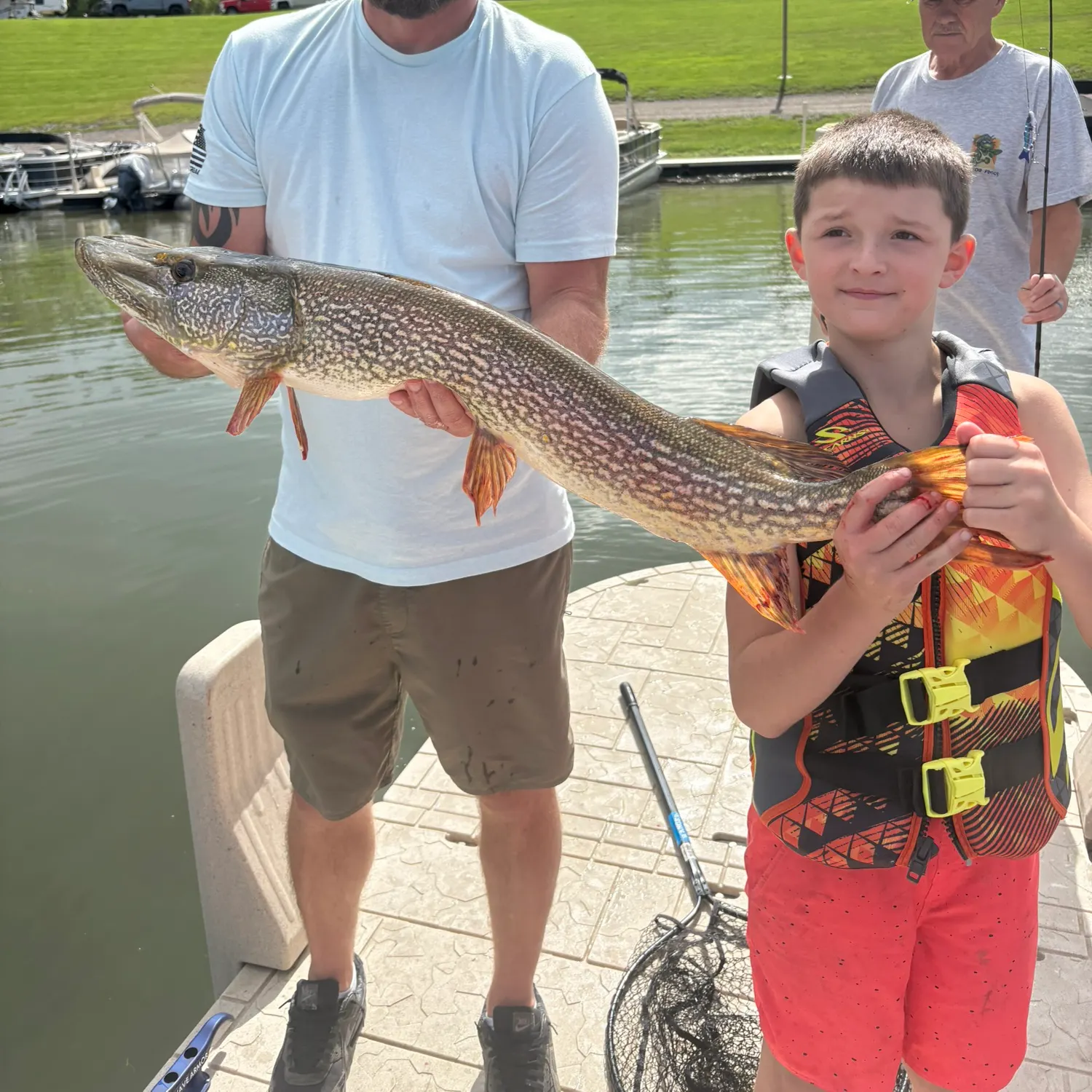 Northern pike caught on Fishbrain